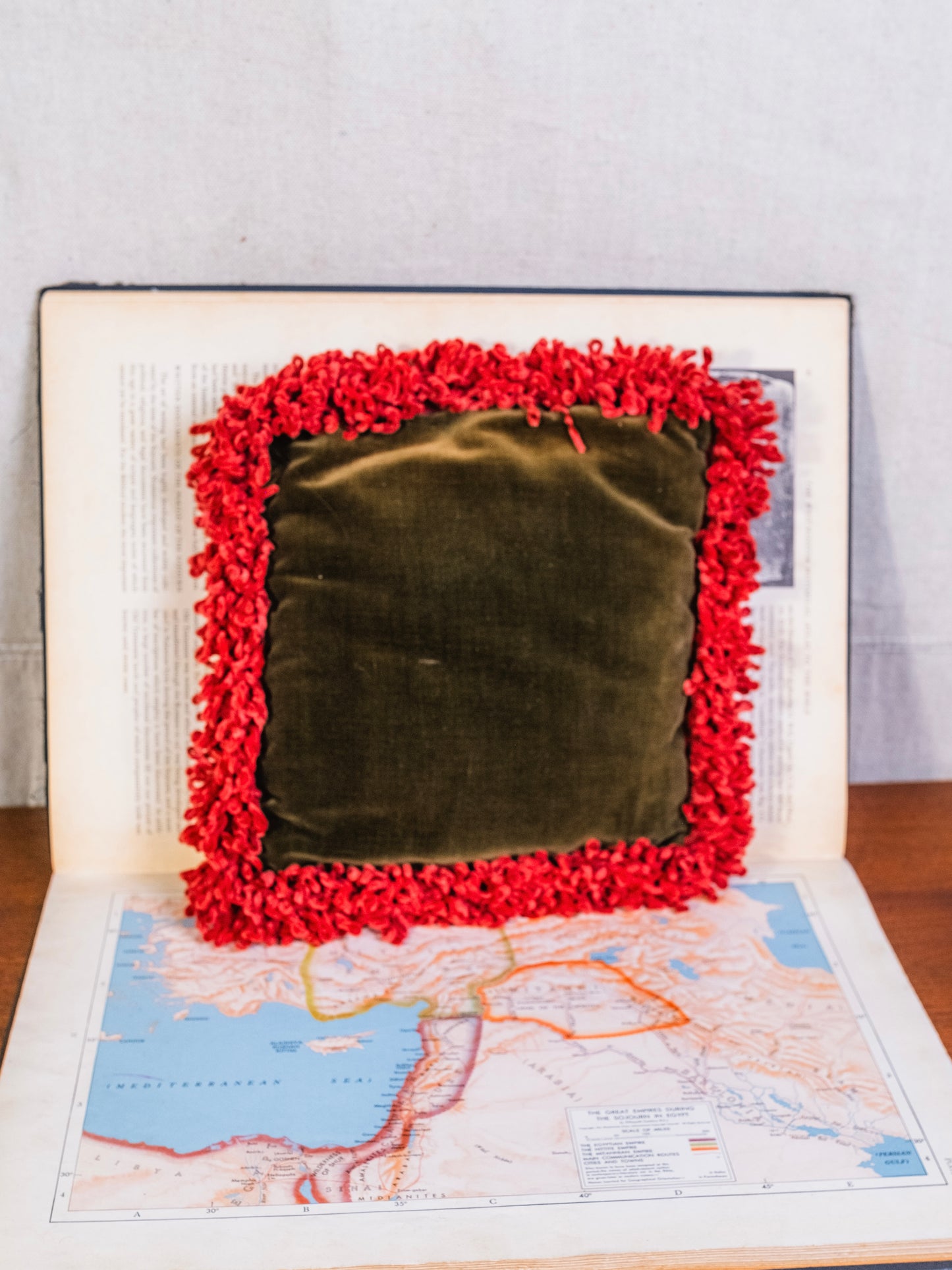 Vintage French-Style Floral Needlepoint Chenille Loop Fringe Mini Throw Pillow
