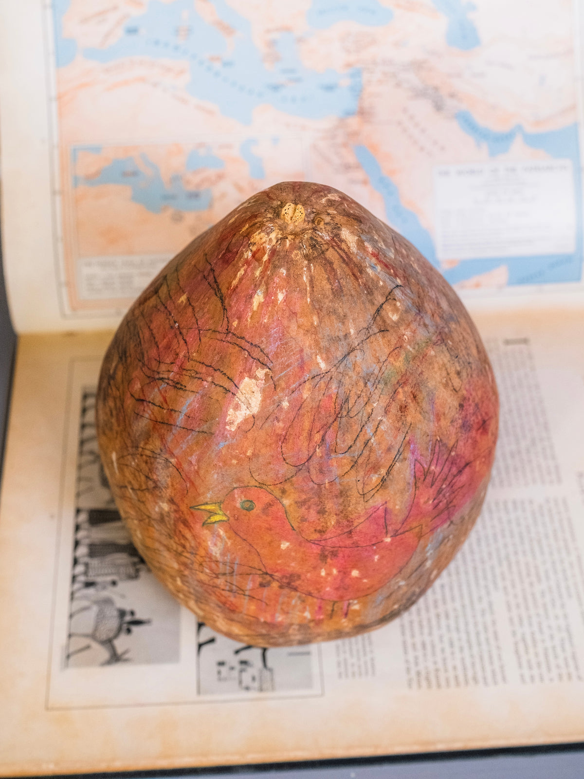 Vintage Folk Art Bird Drawing Decorative Gourd