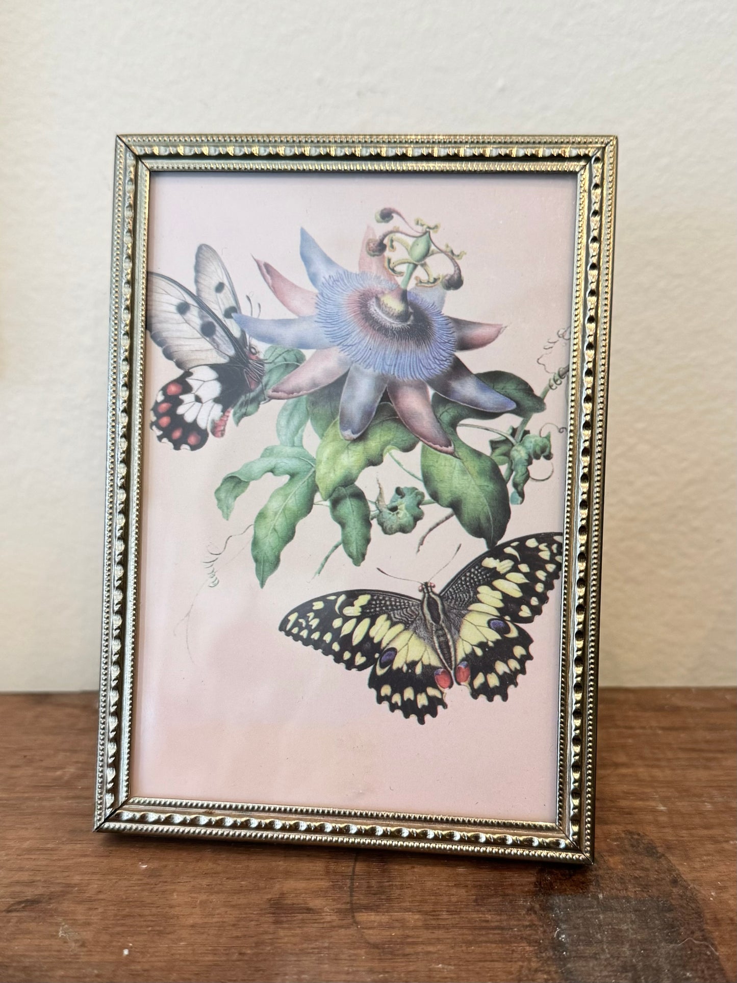 Vintage Miniature Framed Butterfly Floral Print