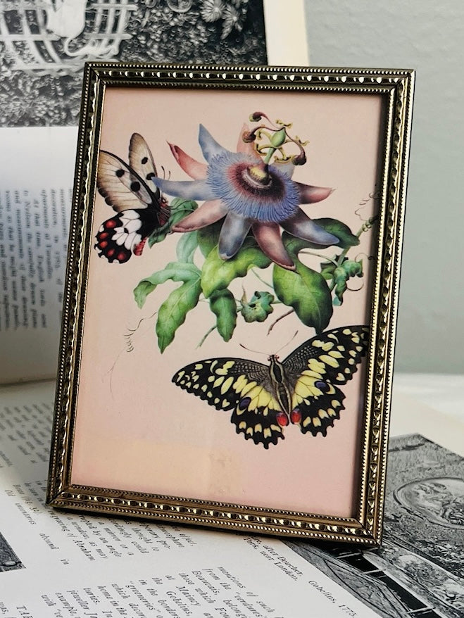 Vintage Miniature Framed Butterfly Floral Print