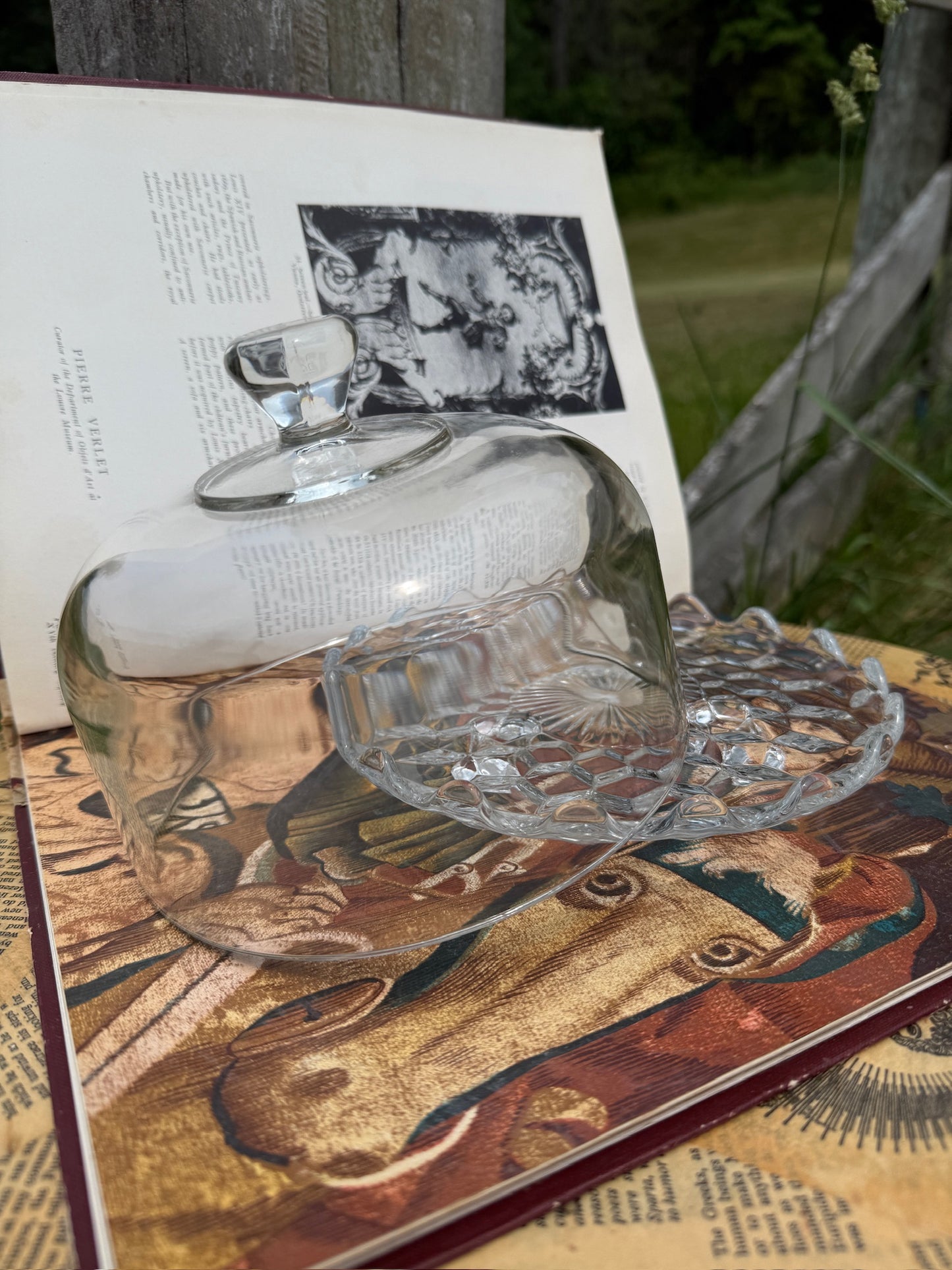 Vintage 1950s Glass Dome Cake Stand