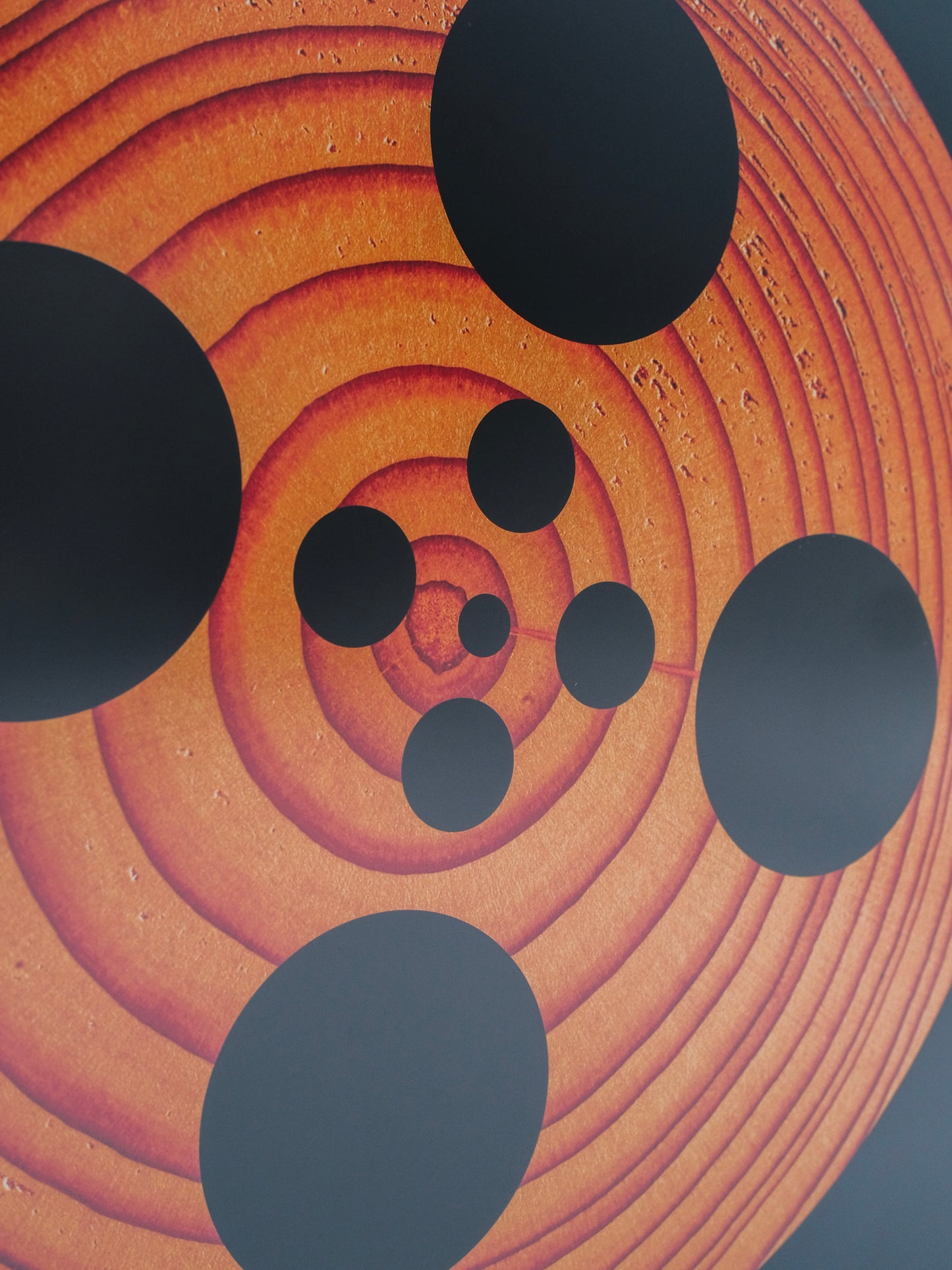 2004 Original Sundance Film Festival Framed Poster