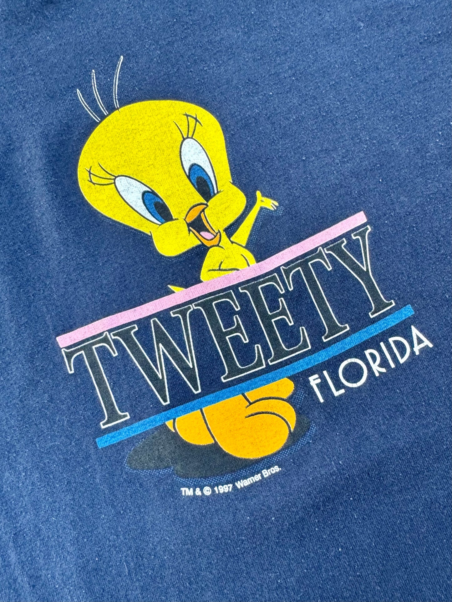 Vintage 1990s Tweety Bird Florida Graphic Tee | Youth XL