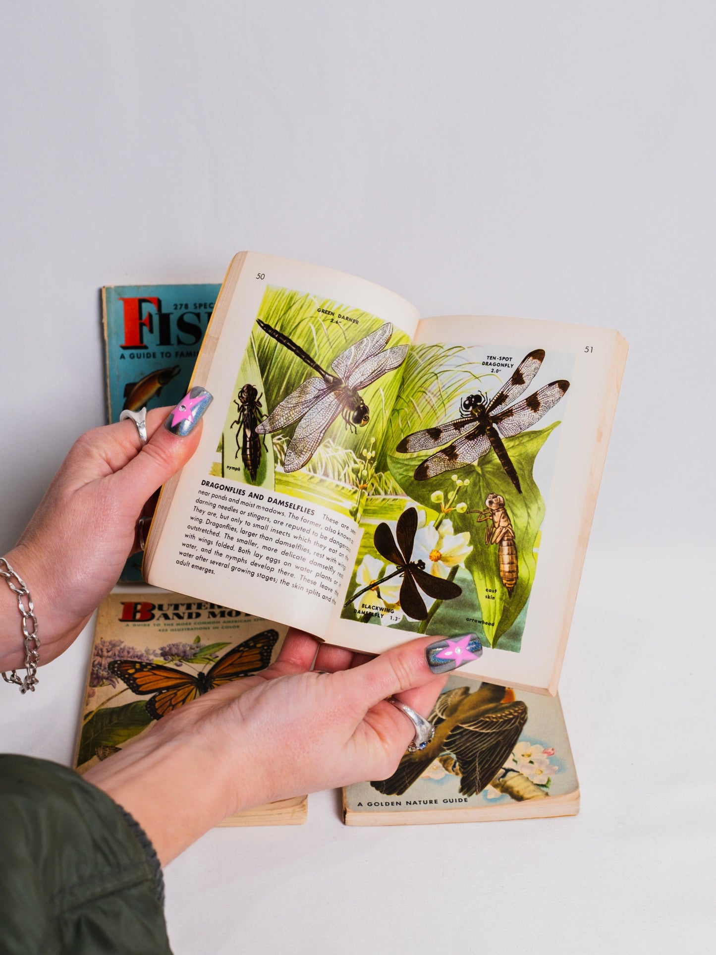 Vintage 1940s Golden Nature Guide Paperback Books | Set of 4