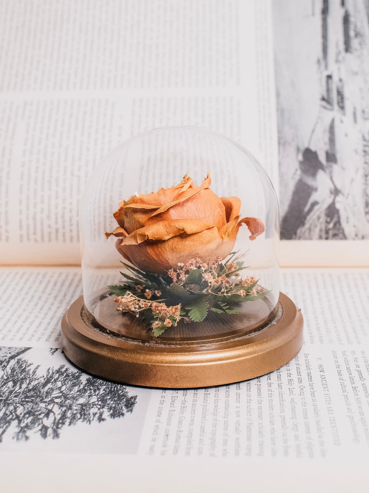 Vintage 1980s Preserved Rose Glass Cloche Display