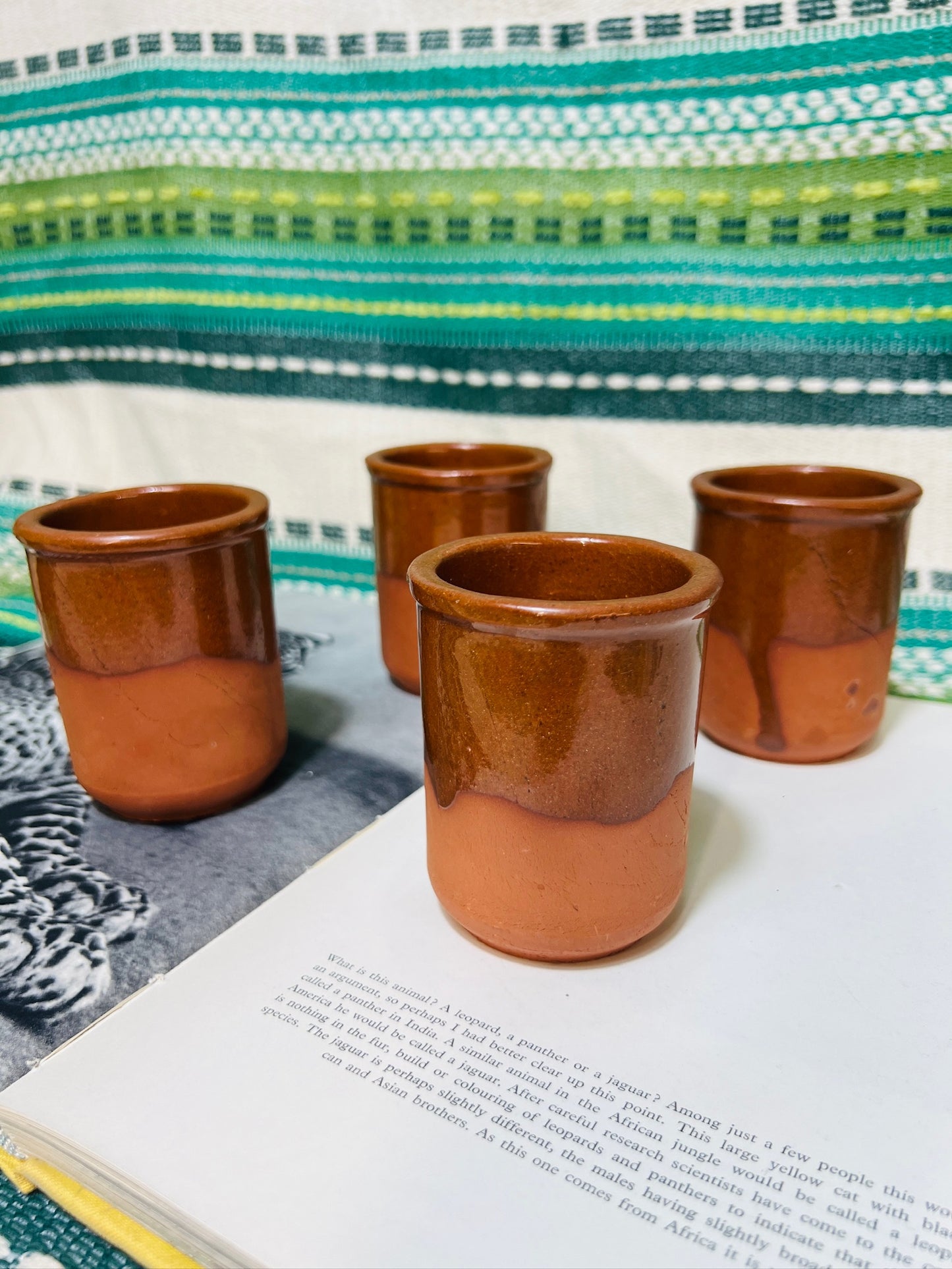 Vintage Terracotta Mini Cups (set of 4)