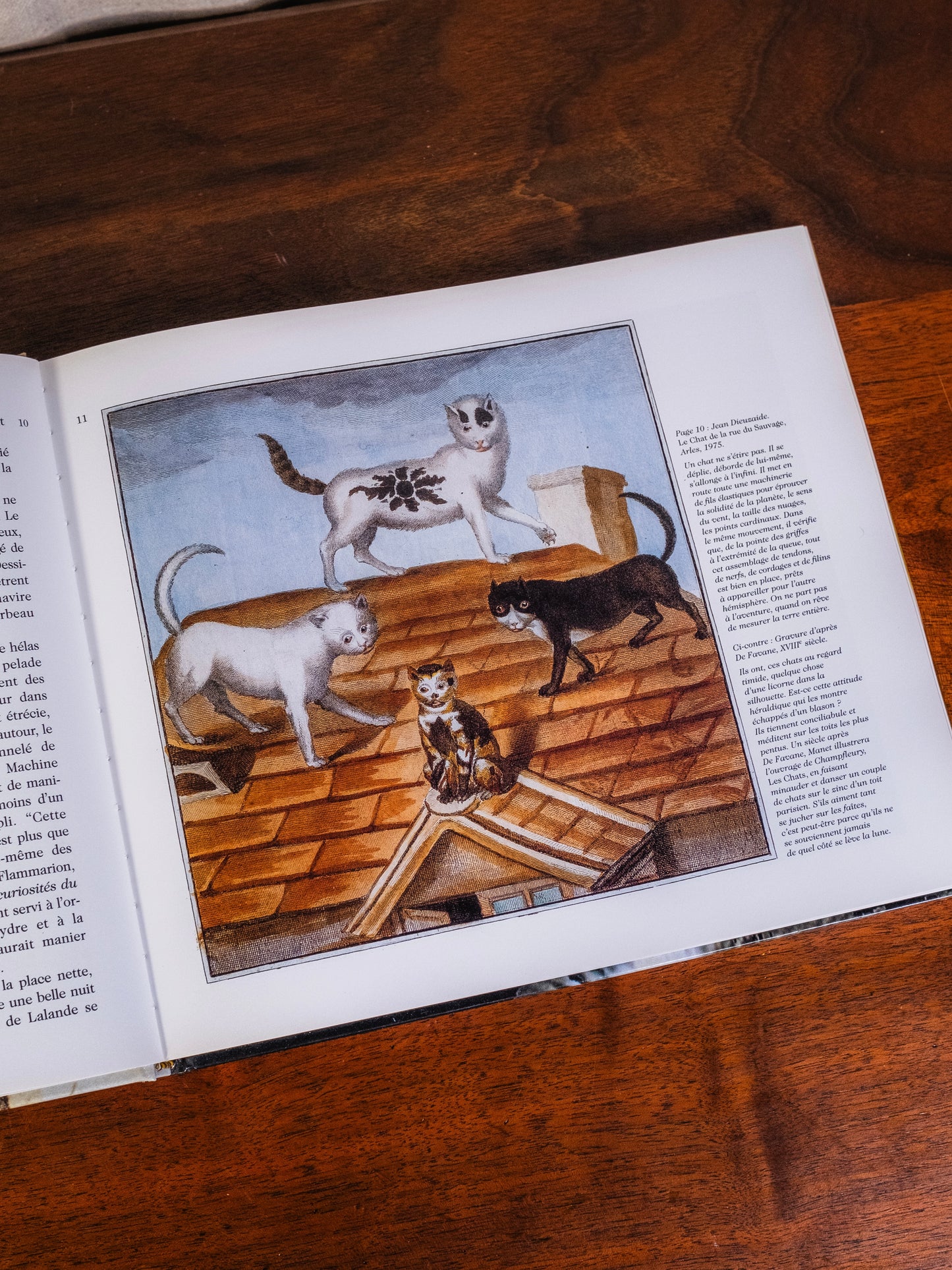 Le Chat Book