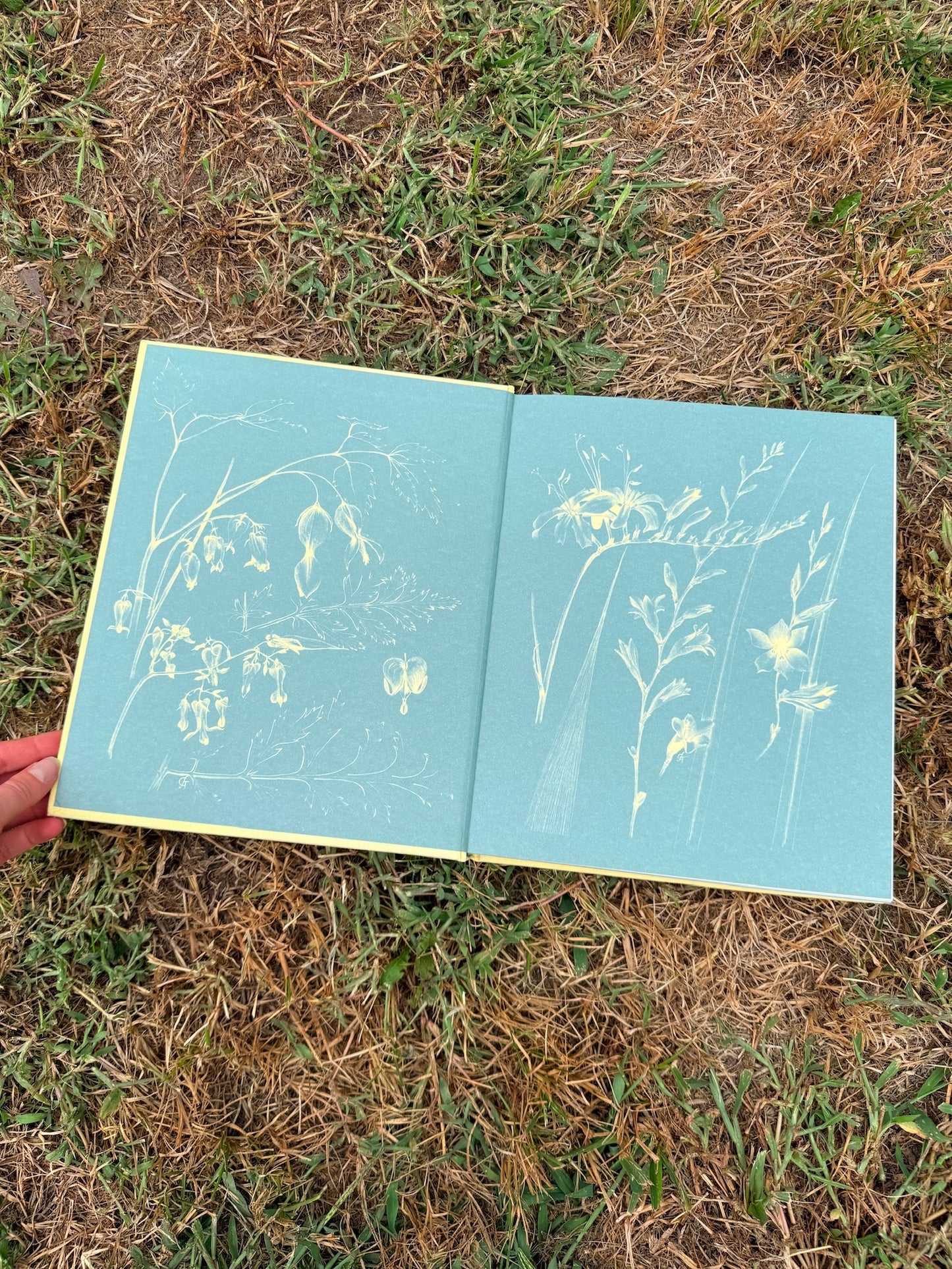 The Garden Through The Year Hardcover Book