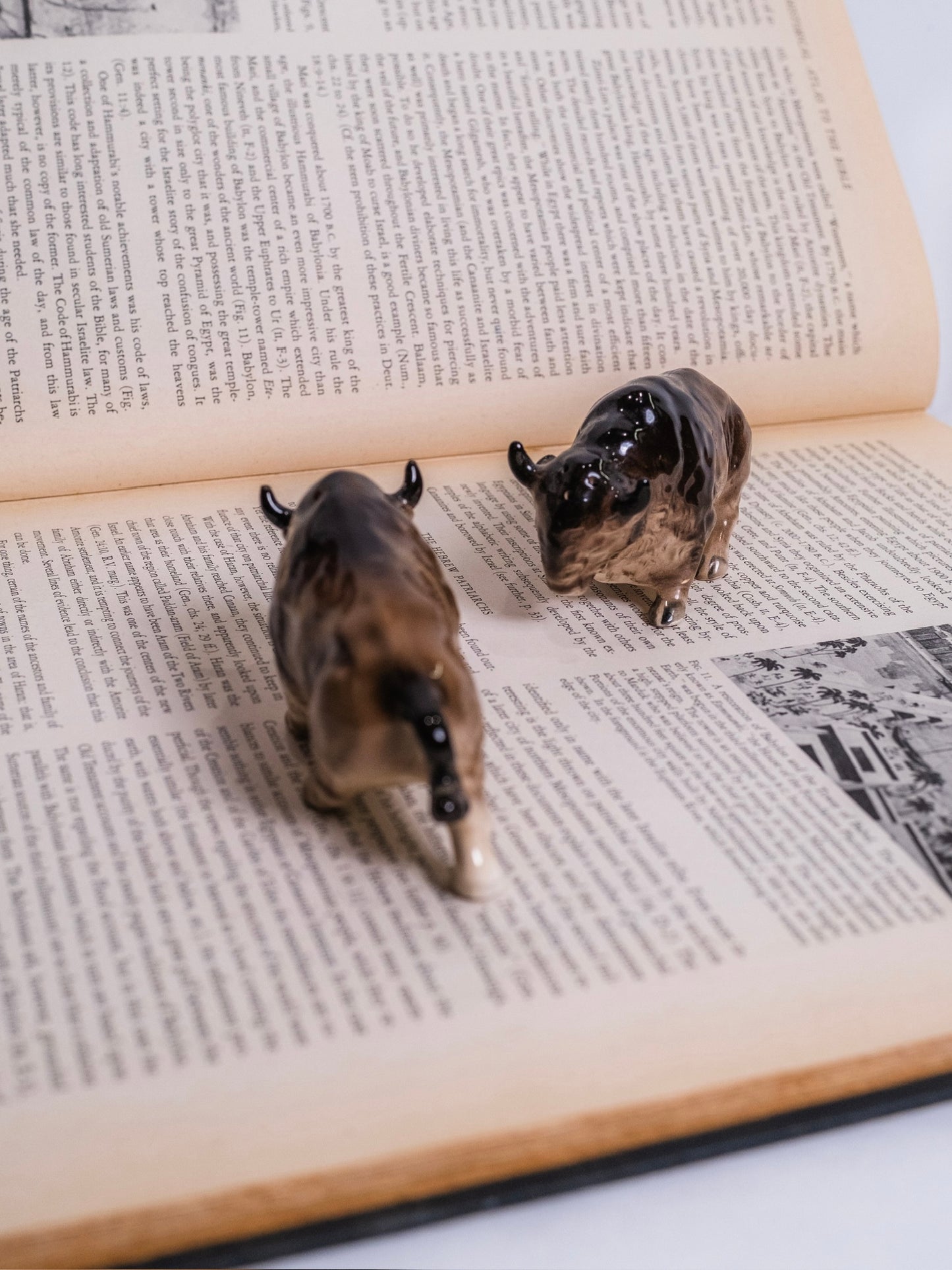 Vintage 1950s Ceramic Bison Salt & Pepper Shaker Set
