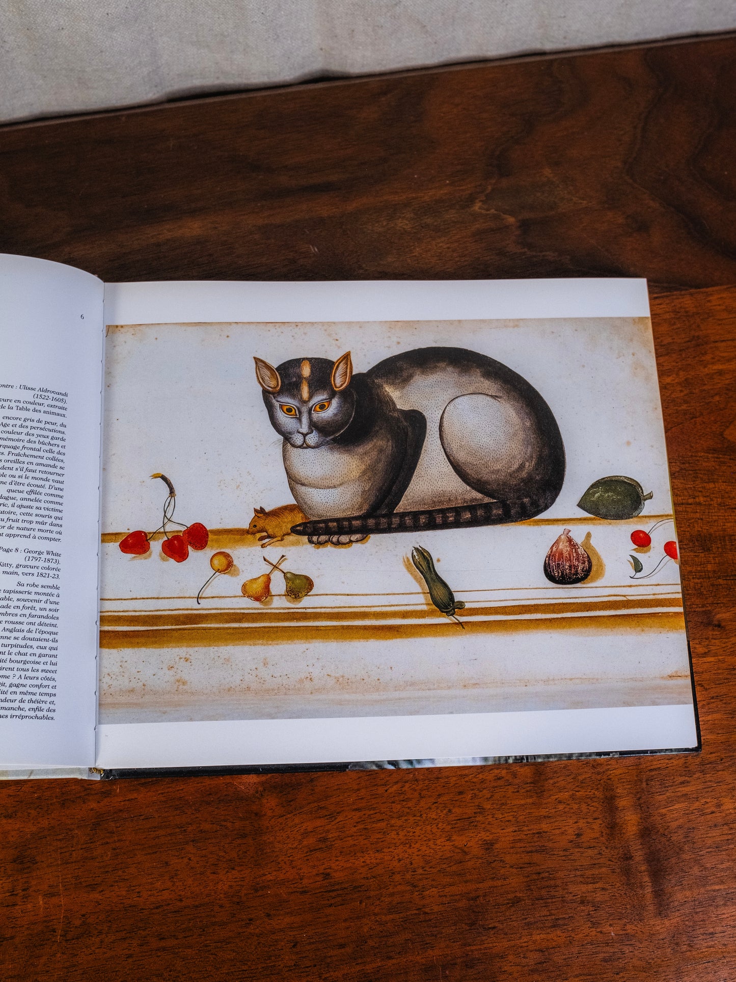 Le Chat Book