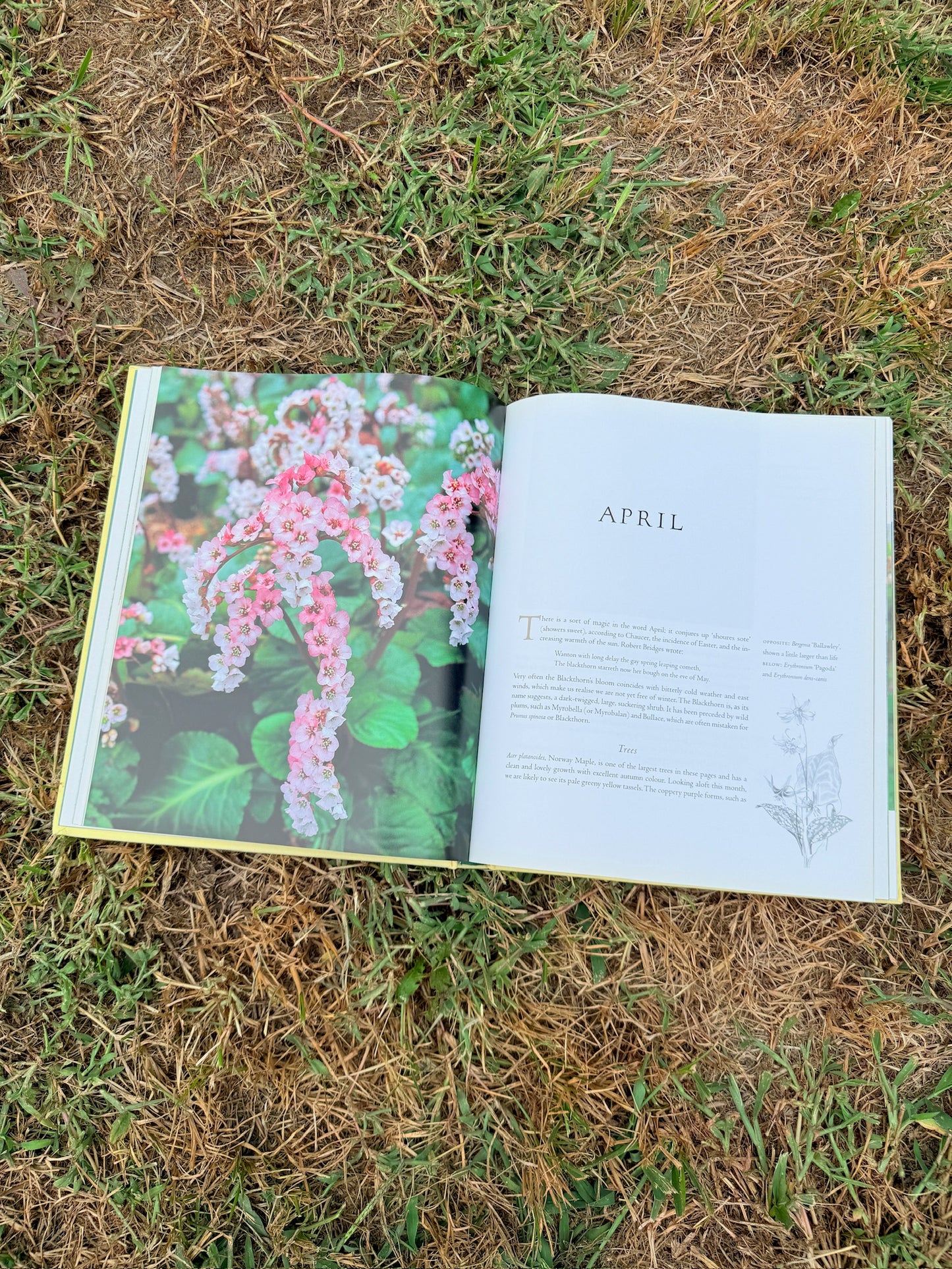 The Garden Through The Year Hardcover Book