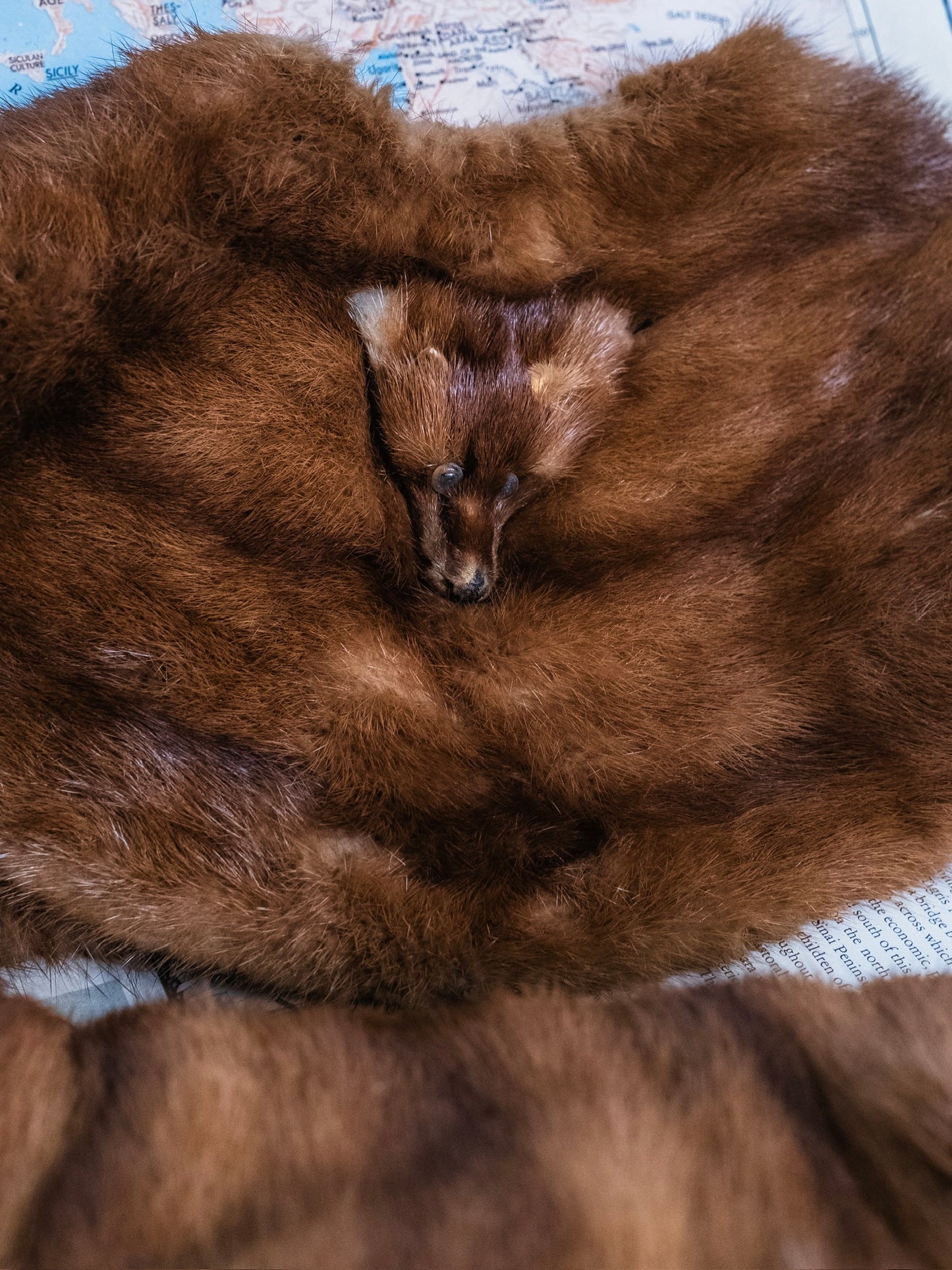 Vintage 1940s Brown Mink Collar & Muff Set