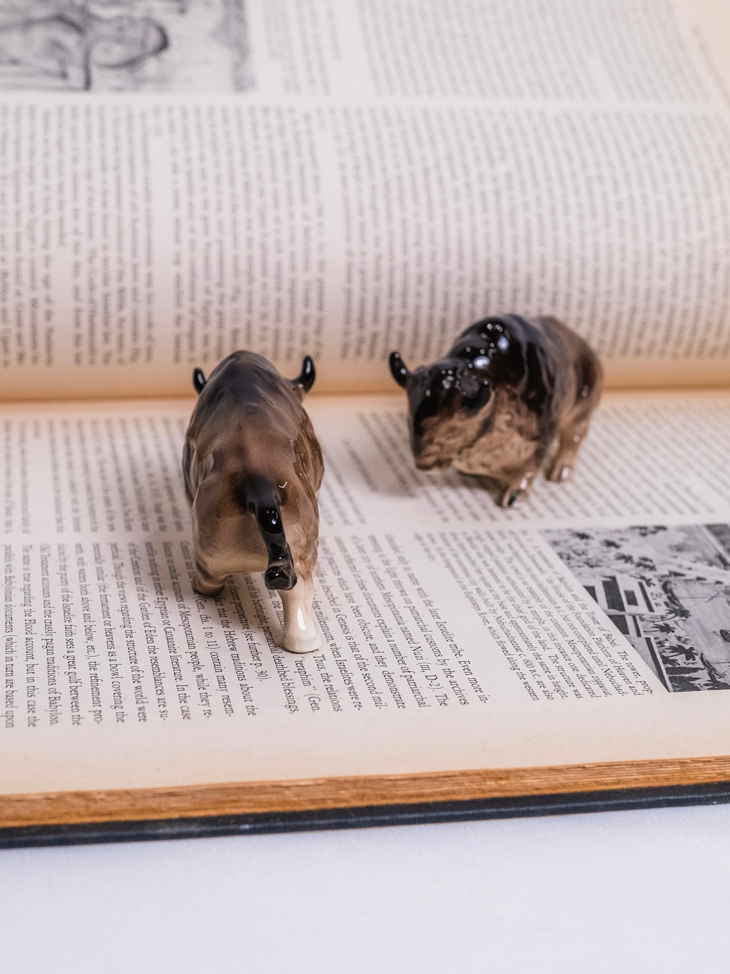 Vintage 1950s Ceramic Bison Salt & Pepper Shaker Set