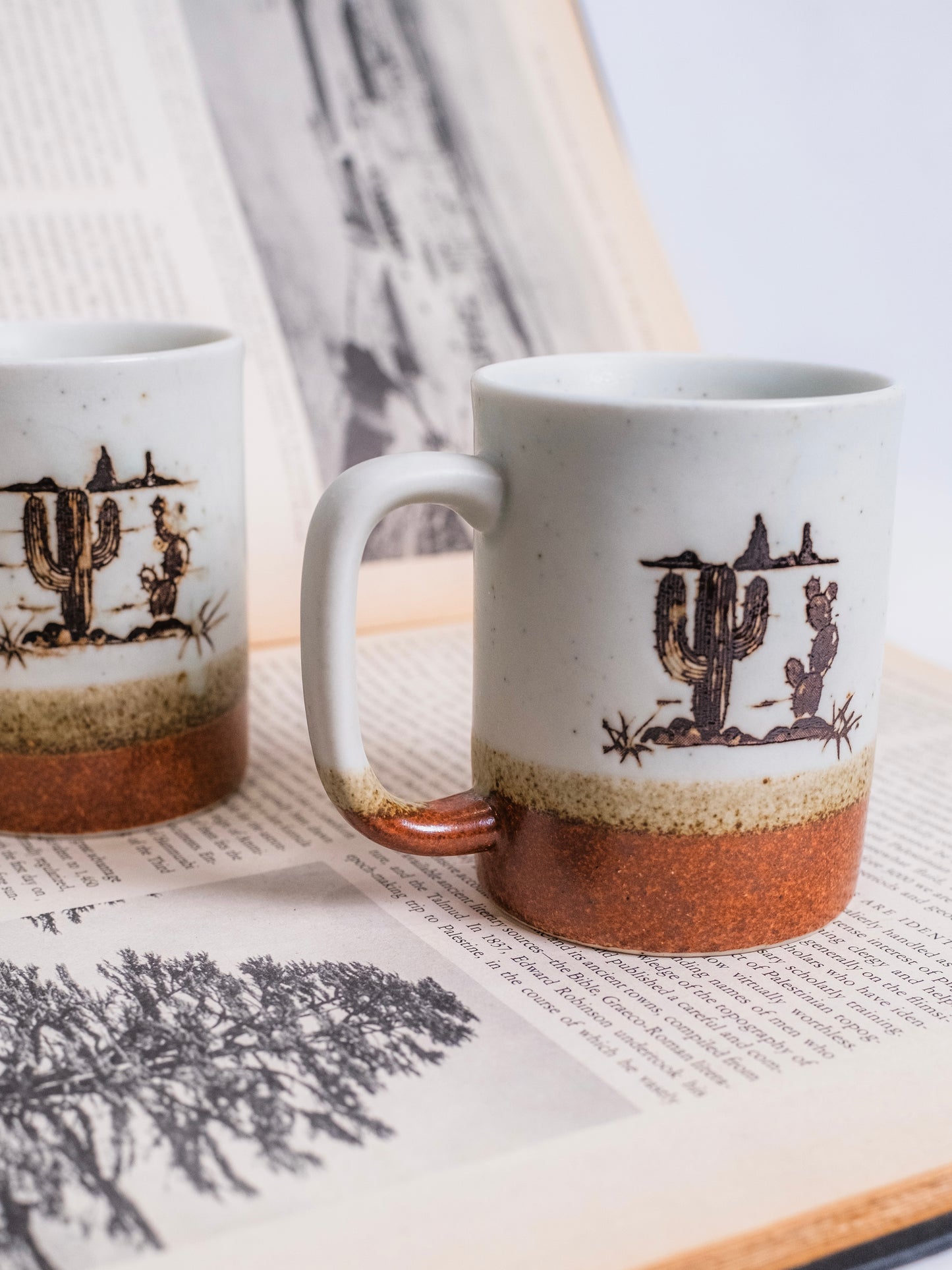 Vintage 1970s Otagiri Ceramic Pottery "Western Cactus" Mugs | Set of 2