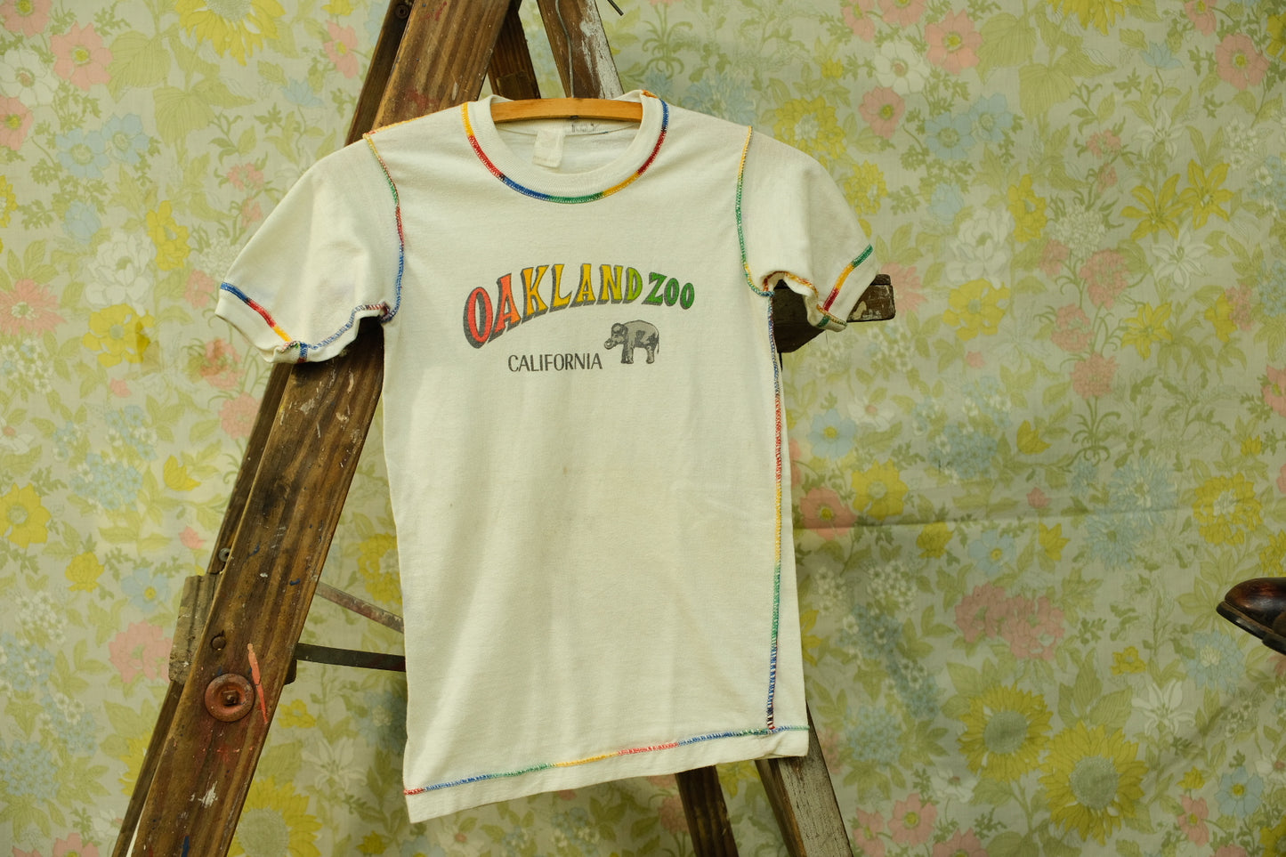 Vintage 1970s Oakland Zoo Rainbow Stitch Youth T-Shirt