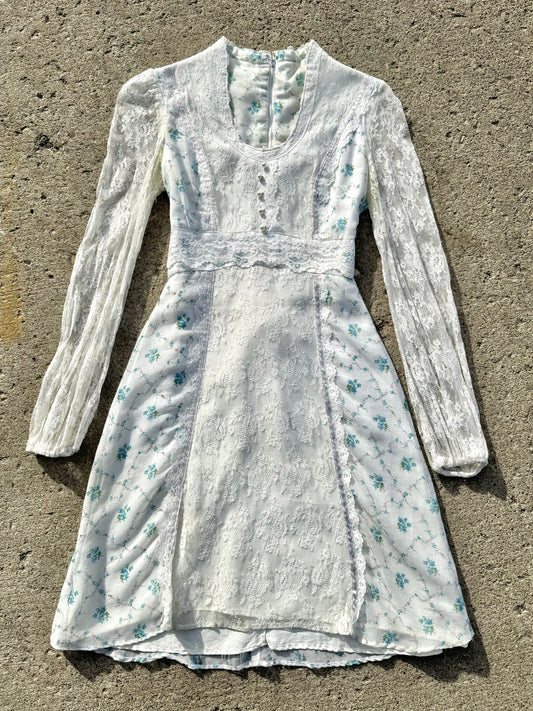 Vintage 1970s Montgomery Ward Lace Floral Prairie Princess Dress | XS