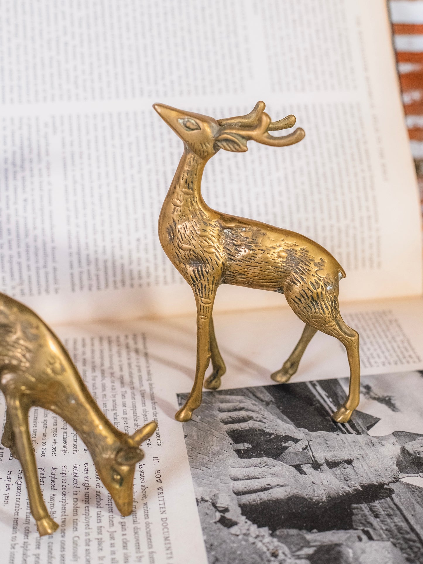 Vintage 1950s Solid Brass Deer Figurines | Set of 2