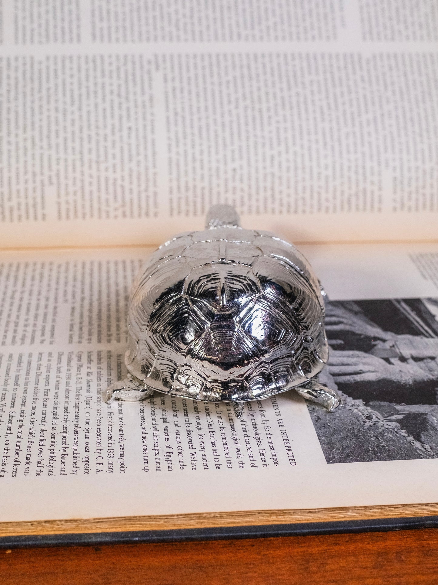 Harry Allen for Areaware Silver Chrome Turtle Trinket Box