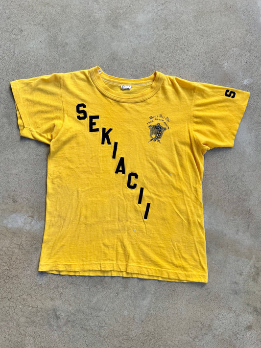 Vintage 1970s Yellow Howard University Wine Psi Phi Sister Tee | Small