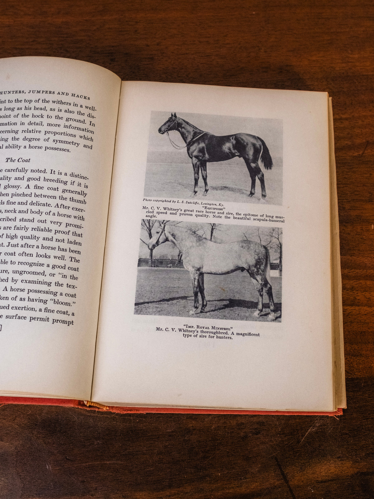 Vintage 1950s Training Hunters, Jumpers & Hacks Book