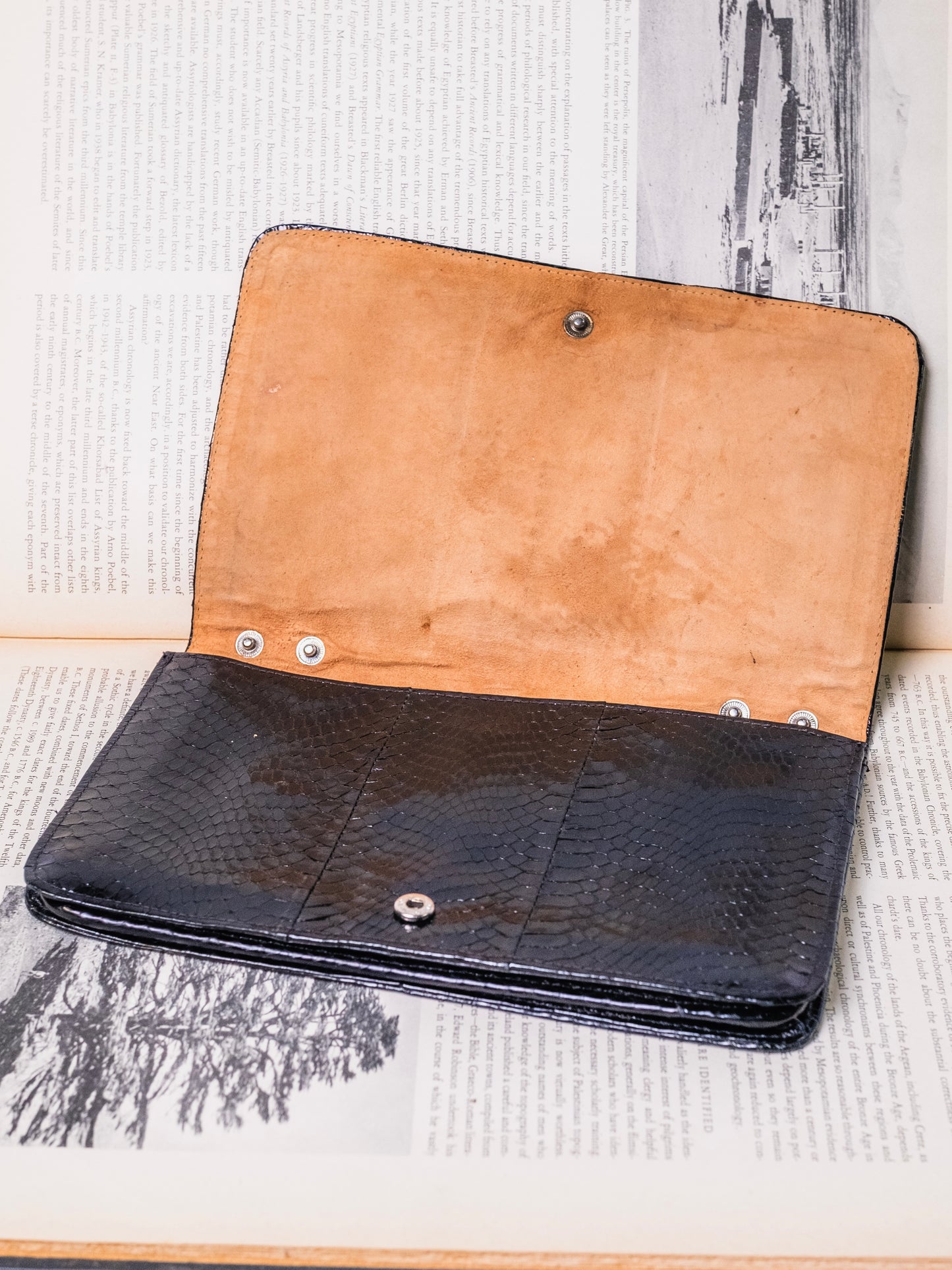 Vintage 1950s Black Snakeskin Clutch