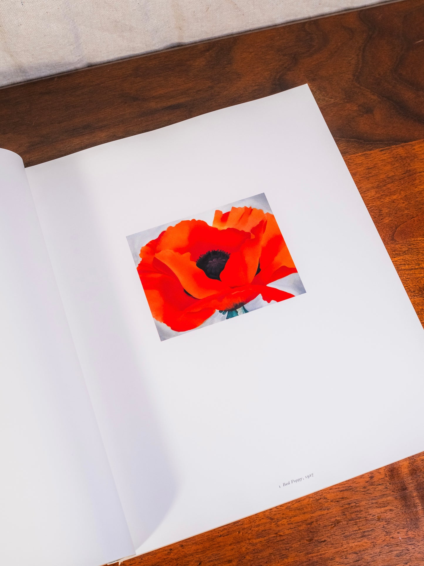 Georgia O'Keeffe: One Hundred Flowers Book