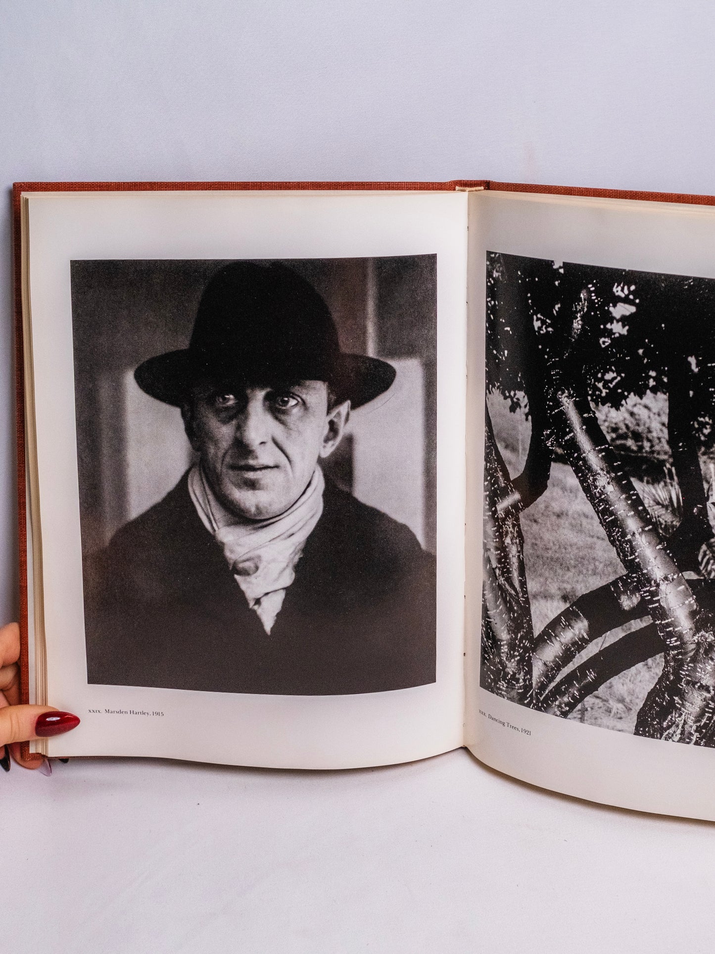 Alfred Stieglitz: An American Seer Book