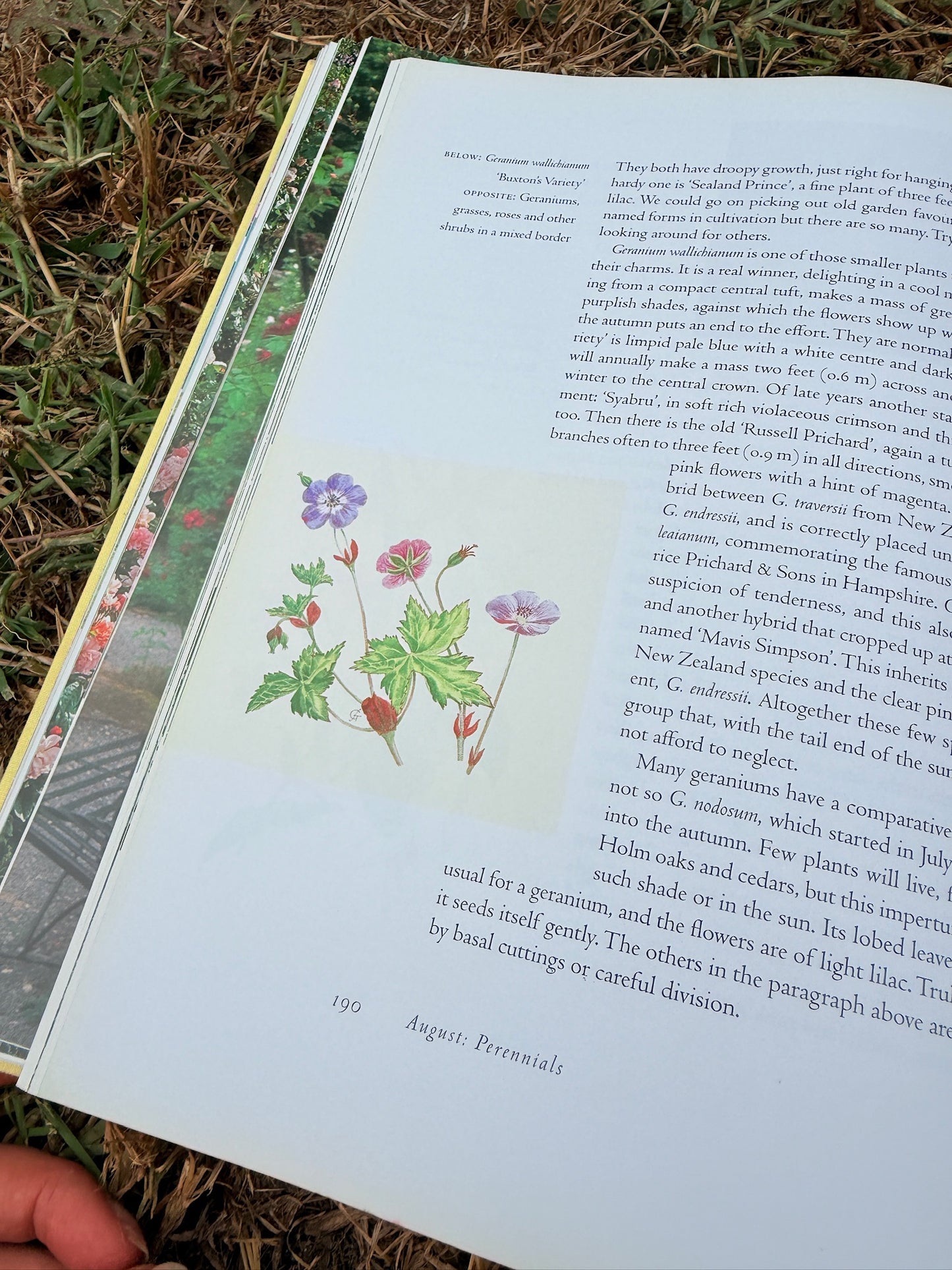 The Garden Through The Year Hardcover Book