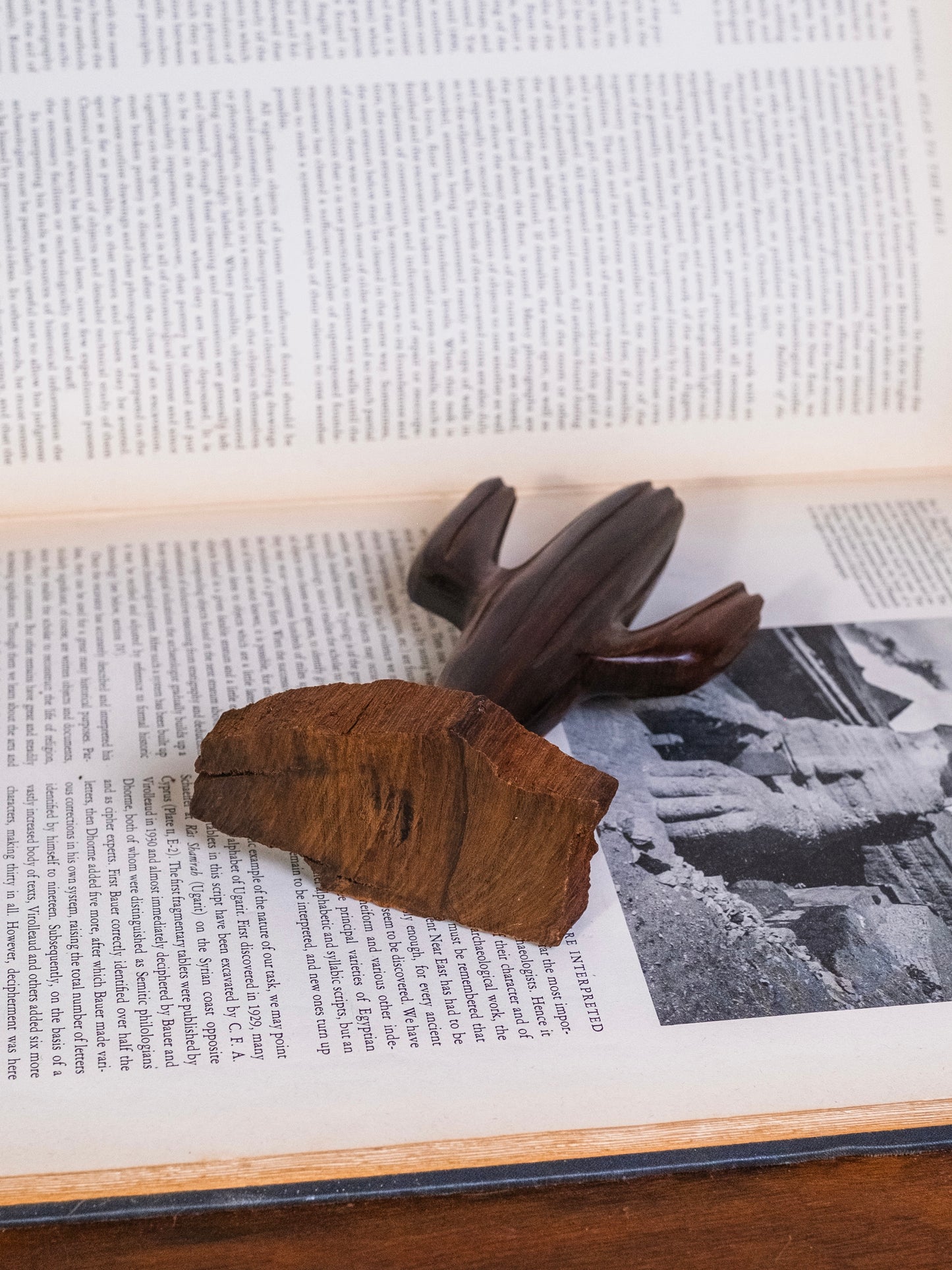 Vintage 1960s Ironwood Hand-Carved Cactus