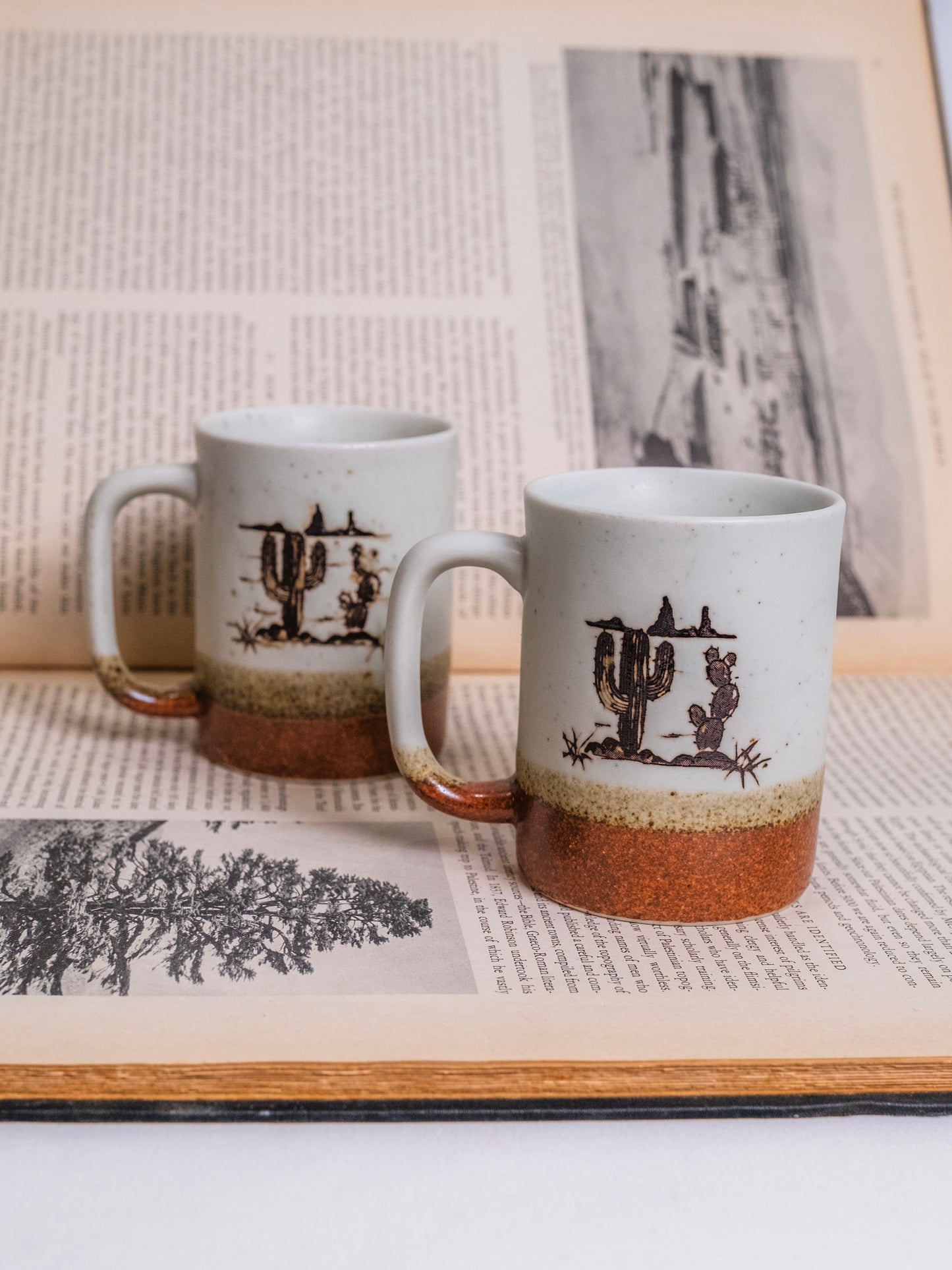 Vintage 1970s Otagiri Ceramic Pottery "Western Cactus" Mugs | Set of 2