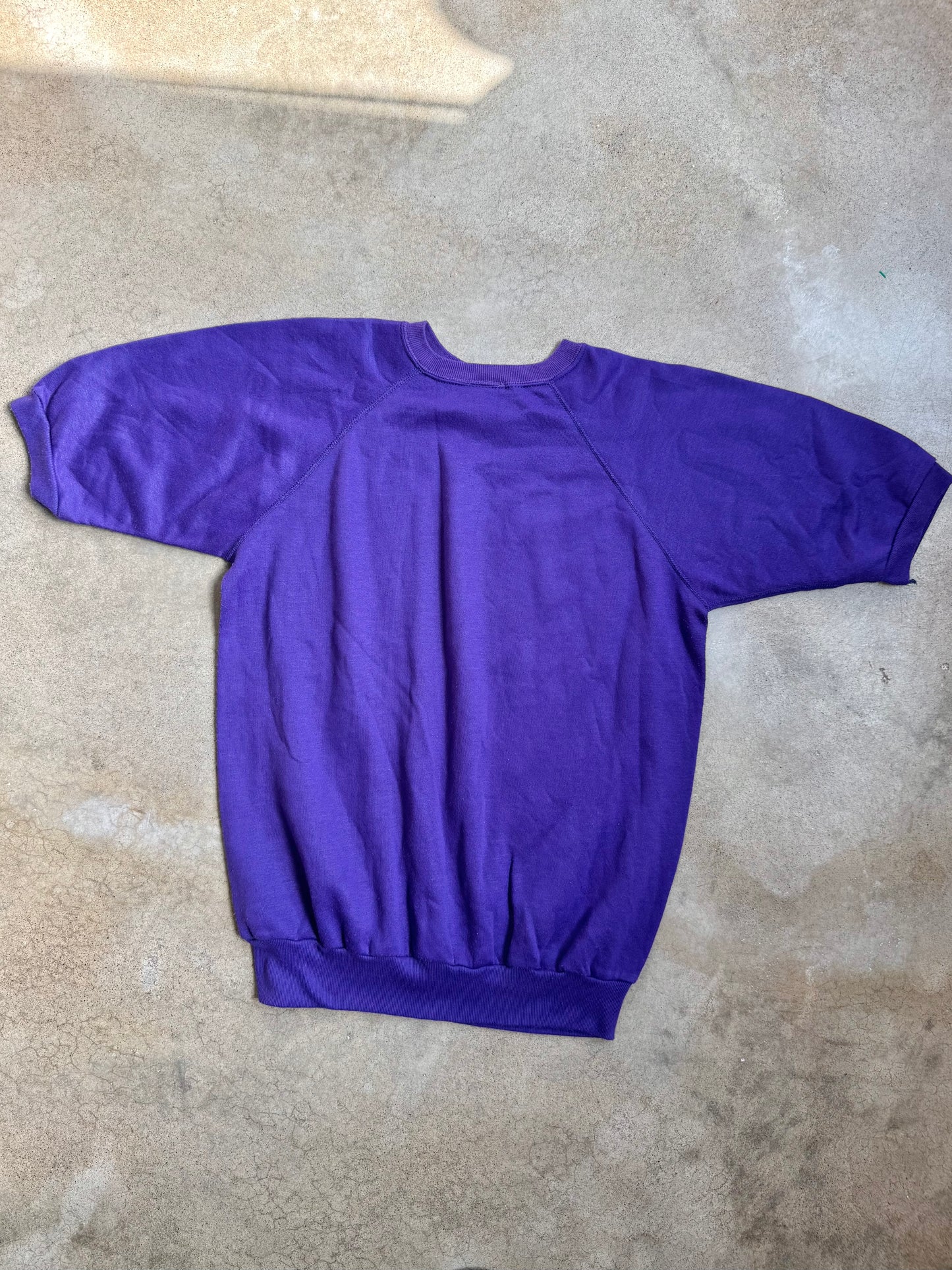 Vintage 1970s Purple & Gold Briggs Bruins Short Sleeve Sweatshirt | Large