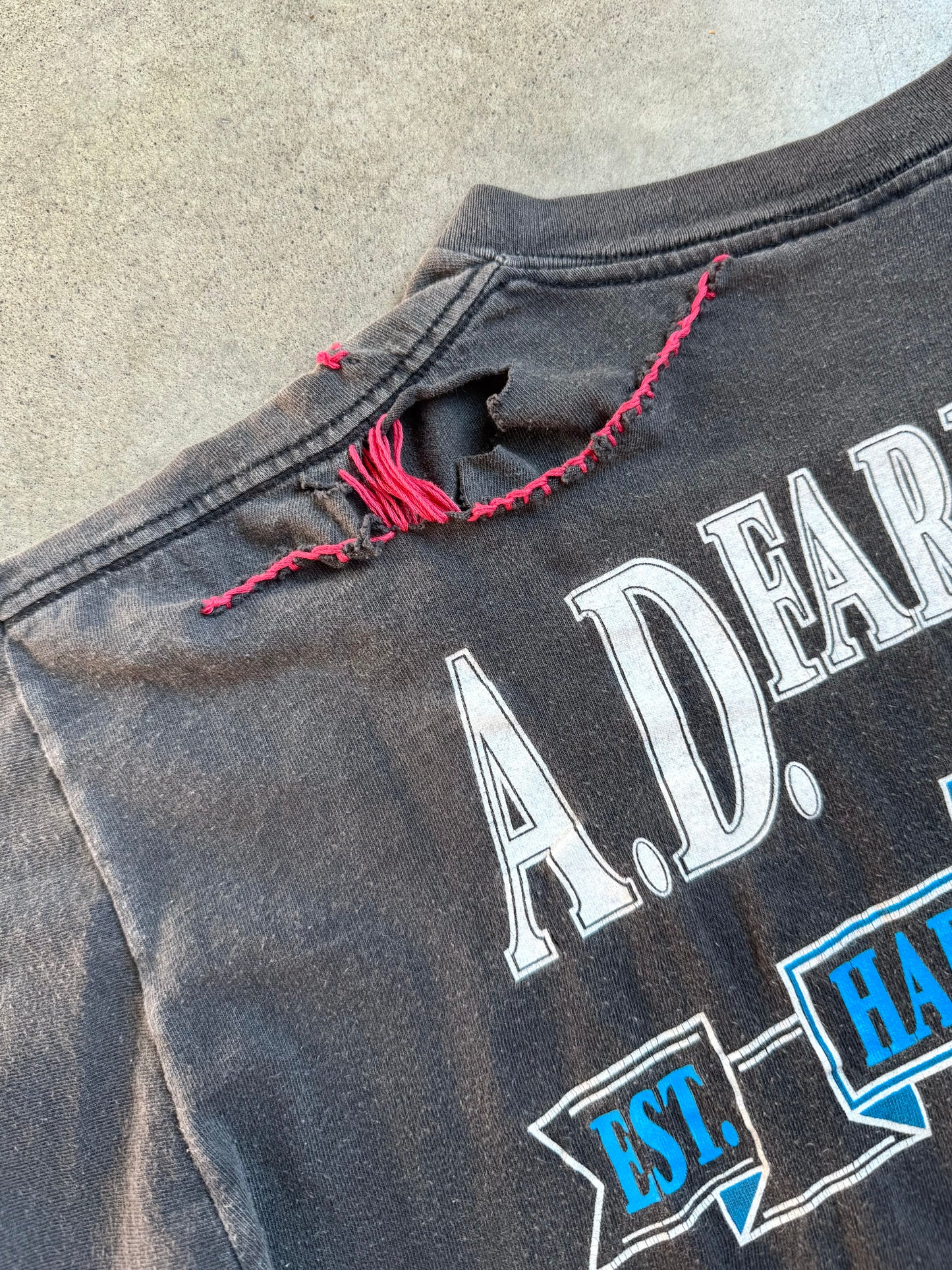 Vintage 1990s Harley Davidson “Wild at Heart” A.D. Farrow Columbus Distressed Graphic Tee | Large