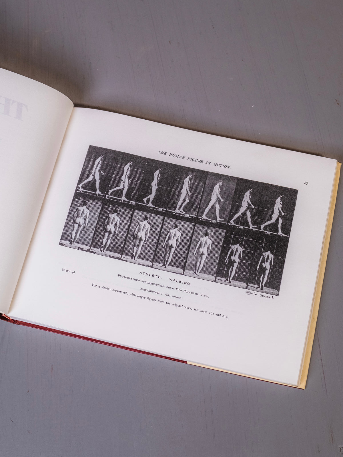 The Human Figure in Motion Book