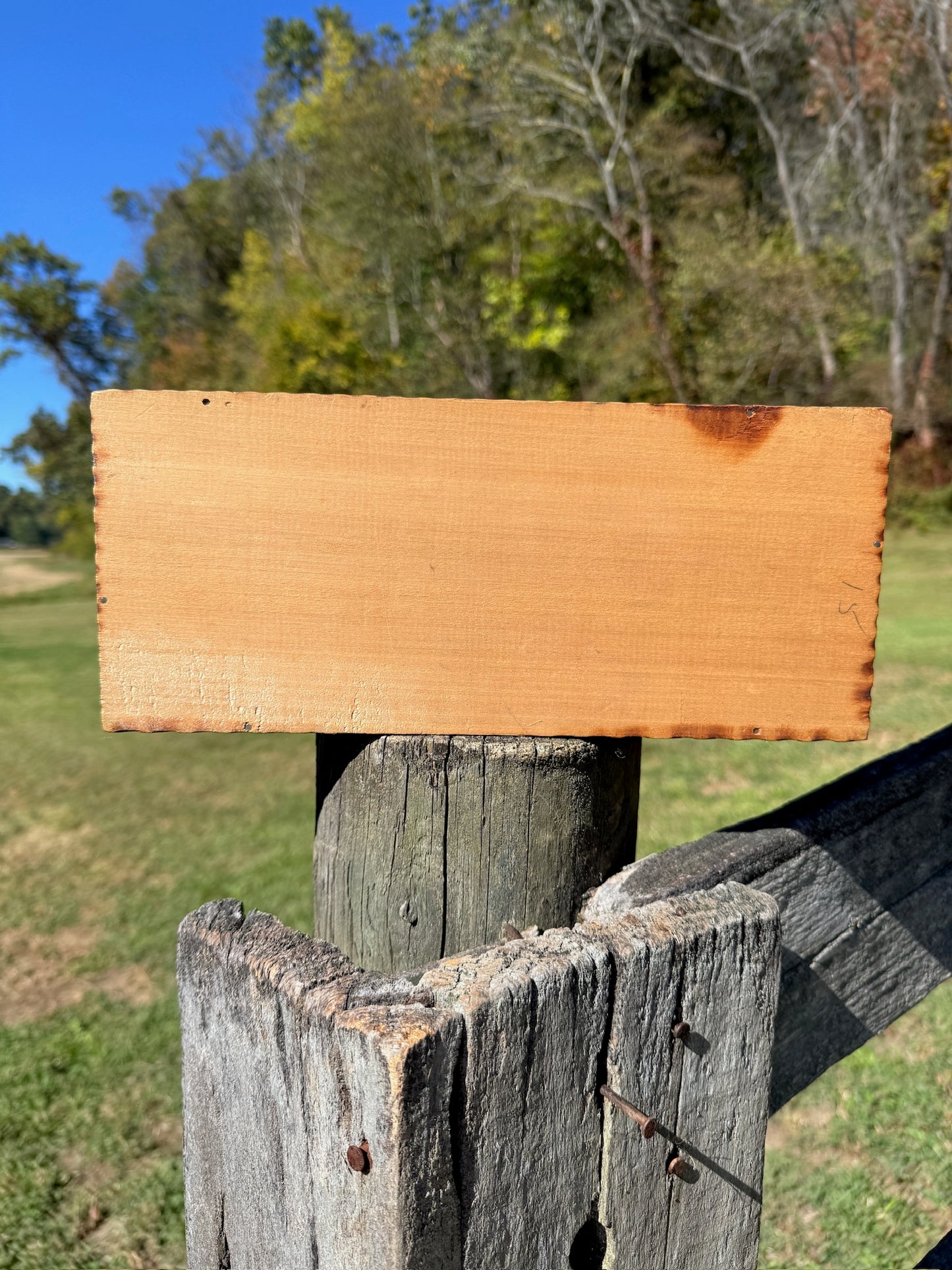 Vintage 1940s Wooden Bird Pattern Pyrography Box