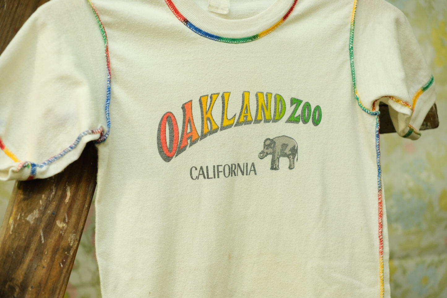 Vintage 1970s Oakland Zoo Rainbow Stitch Youth T-Shirt