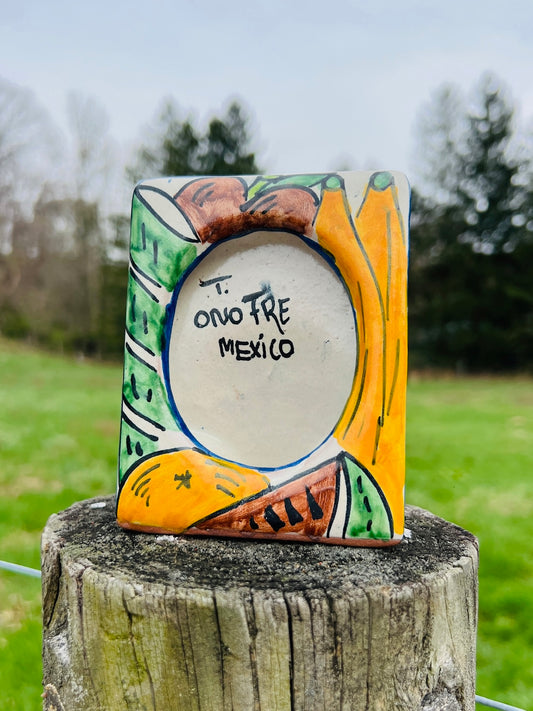 Vintage 1960s Mexican Hand-Painted Fruit Pattern Terracotta Picture Frame