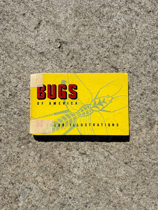 Vintage 1930s Bugs of America Mini Guide Book