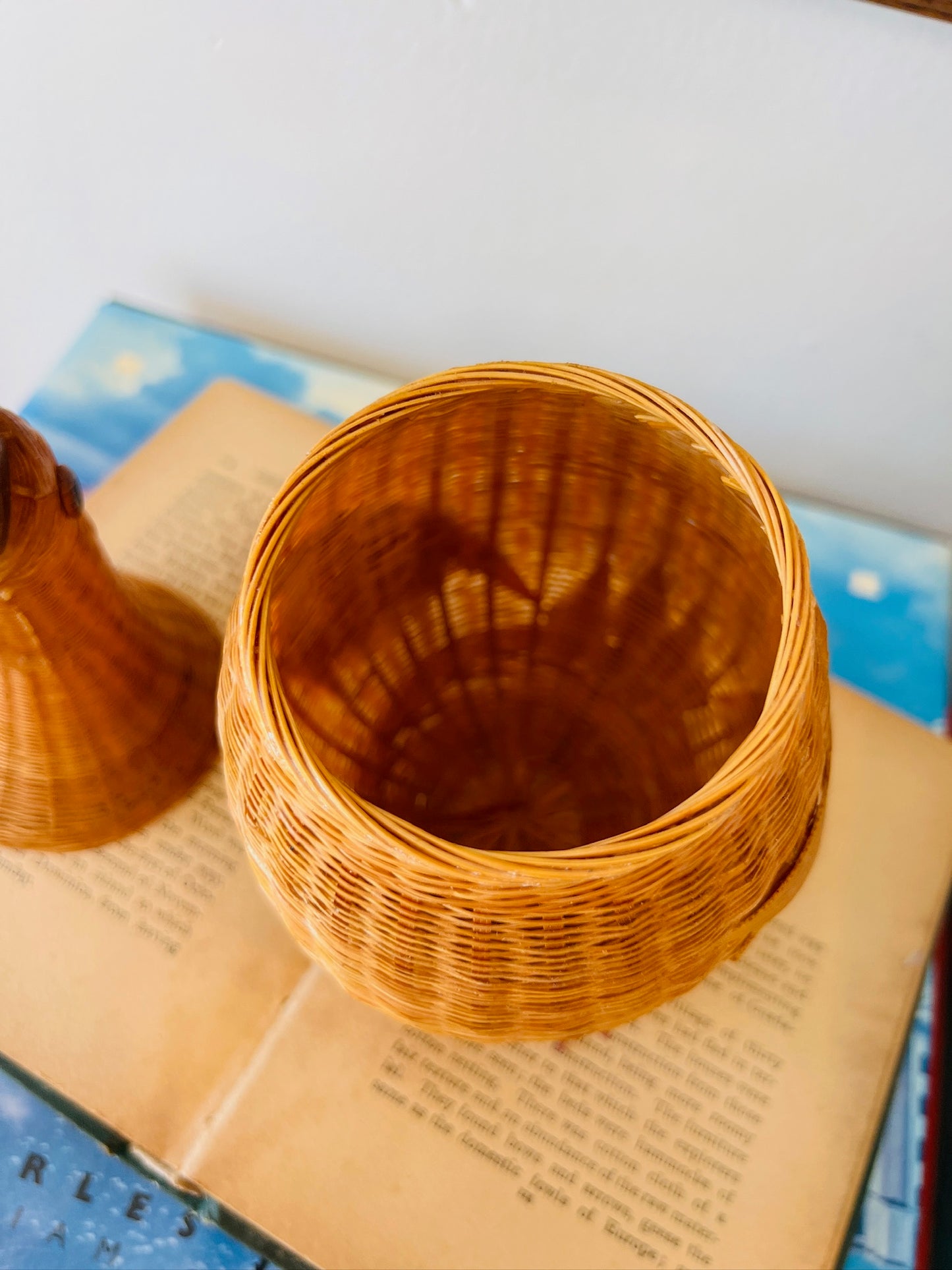 Vintage Wicker Woven Bird Basket