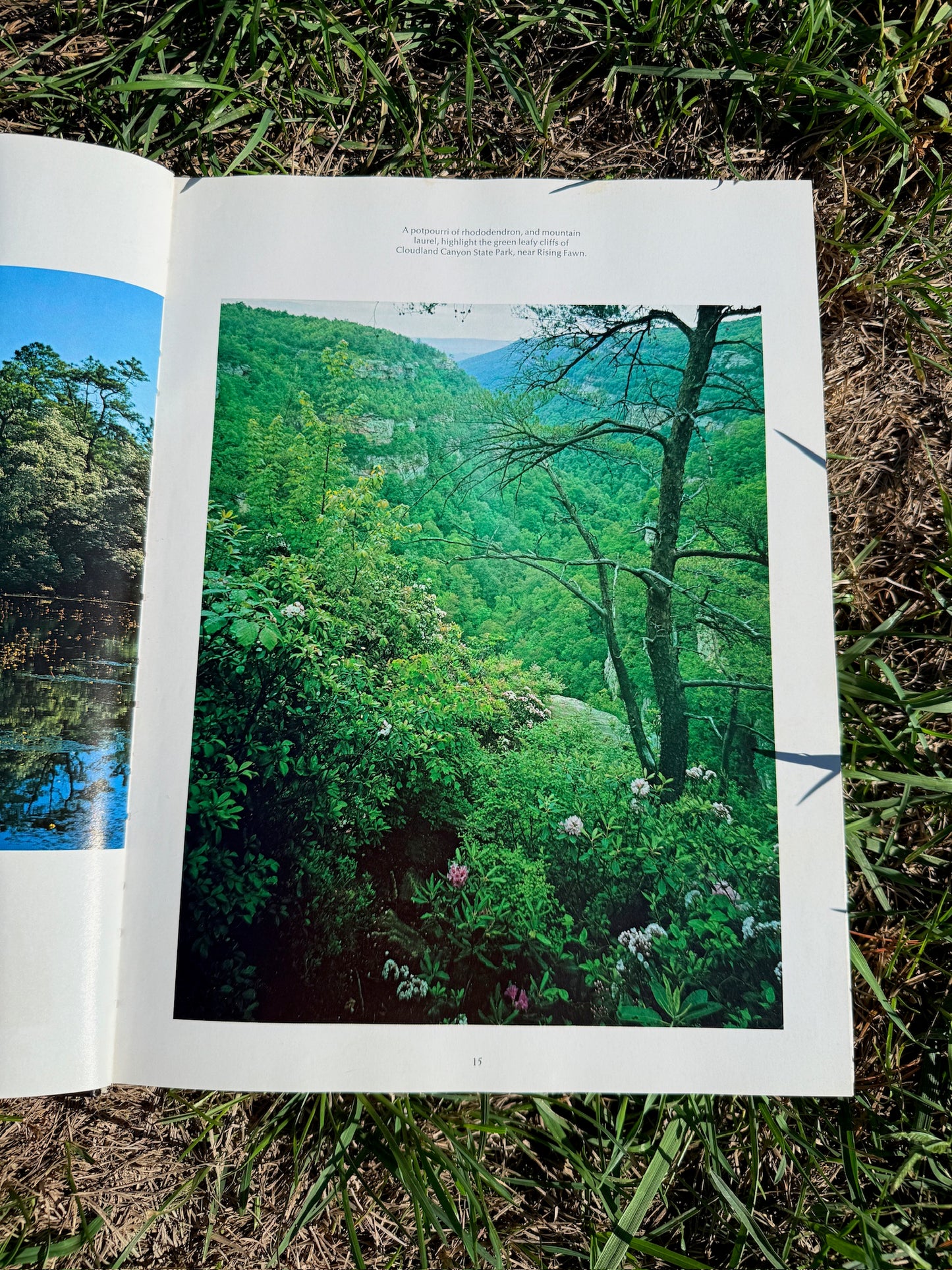 Vintage Georgia Photography Book