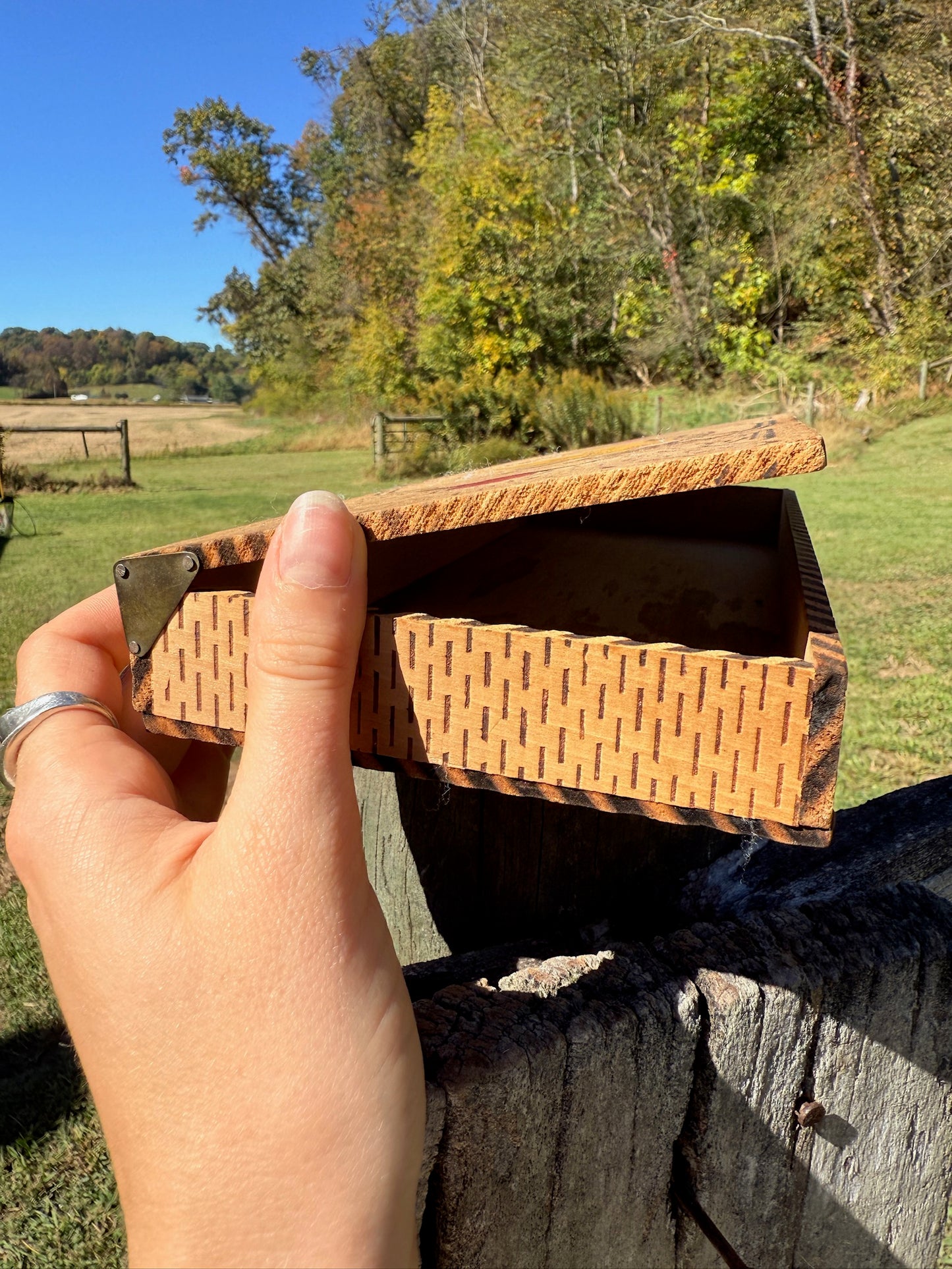 Vintage 1940s Wooden Bird Pattern Pyrography Box