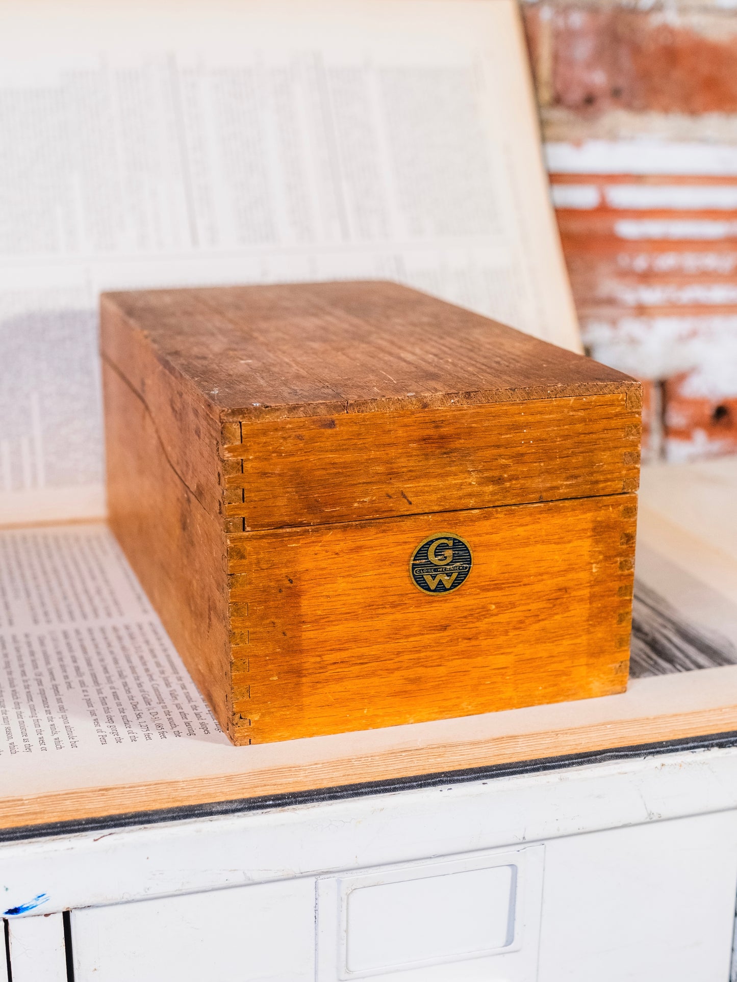 Vintage Globe Wernicke Peerless Tray Wooden Card File Box