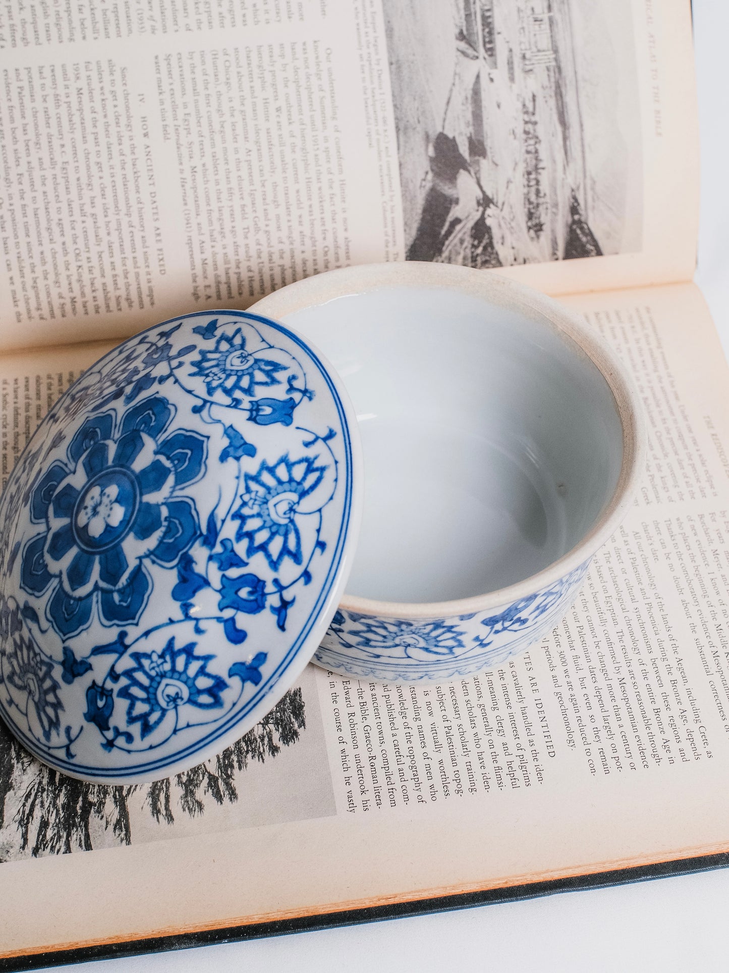 Vintage Chinese Chinoiserie Blue & White “Lily Pattern” Porcelain Lidded Dish