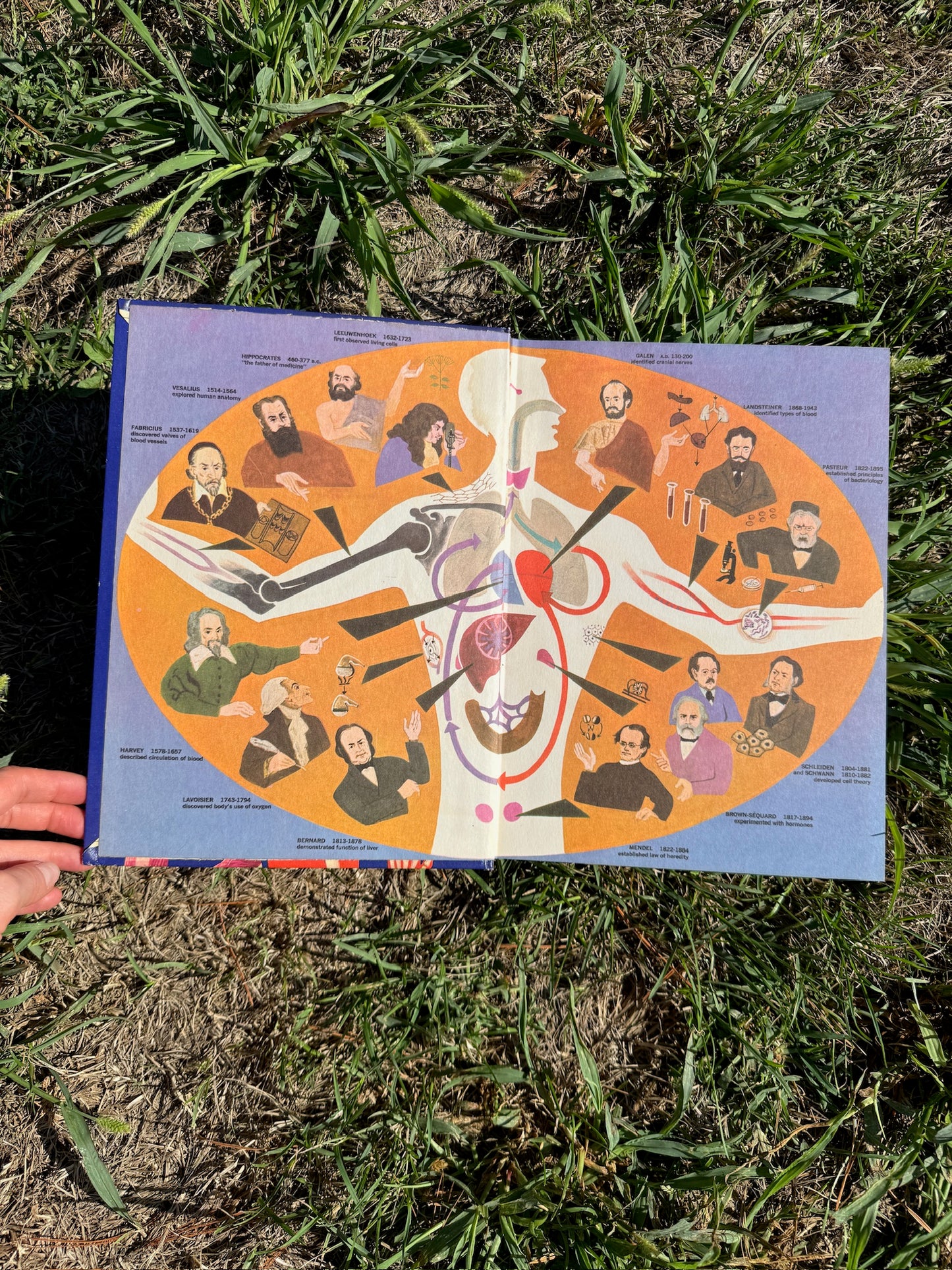 Vintage 1970s The Human Body Textbook