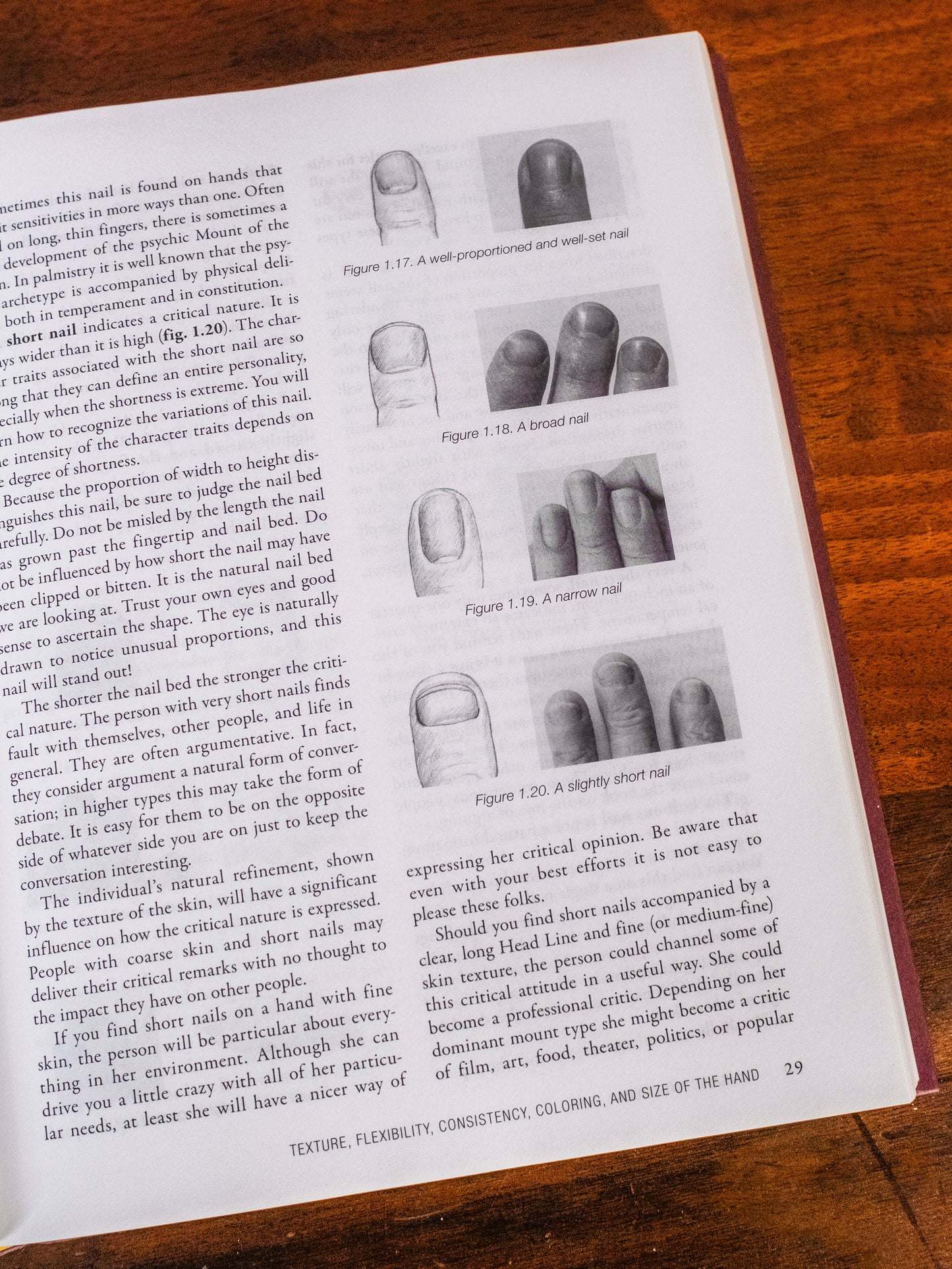 The Art & Science of Hand Reading Book