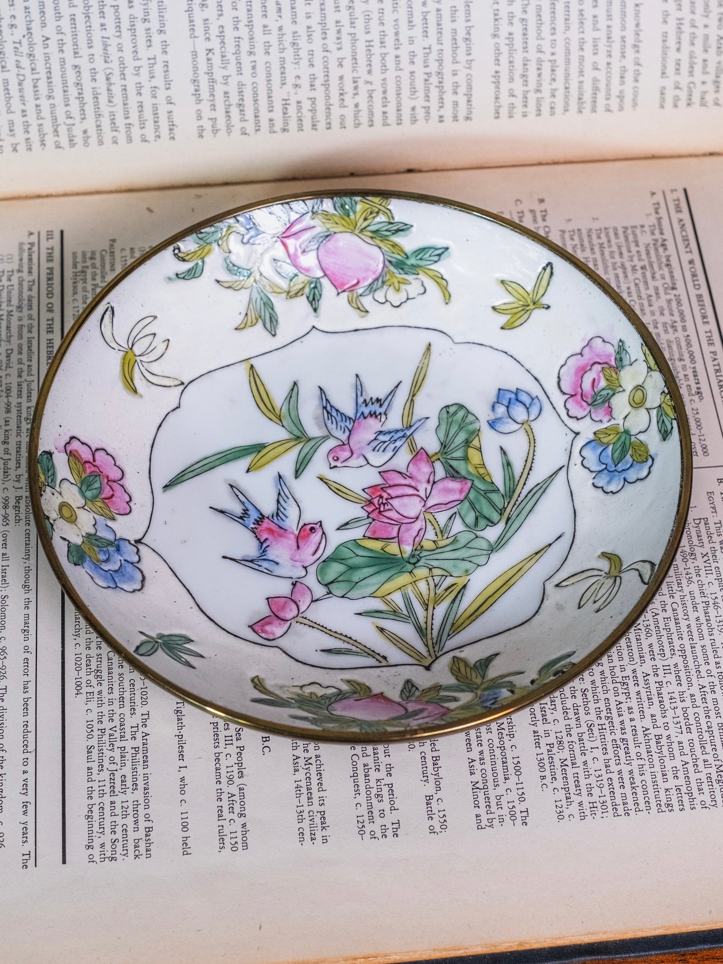 Vintage Chinese Porcelain “Bluebird & Radish” Brass Wrapped Famille Rose Chinoiserie Bowl