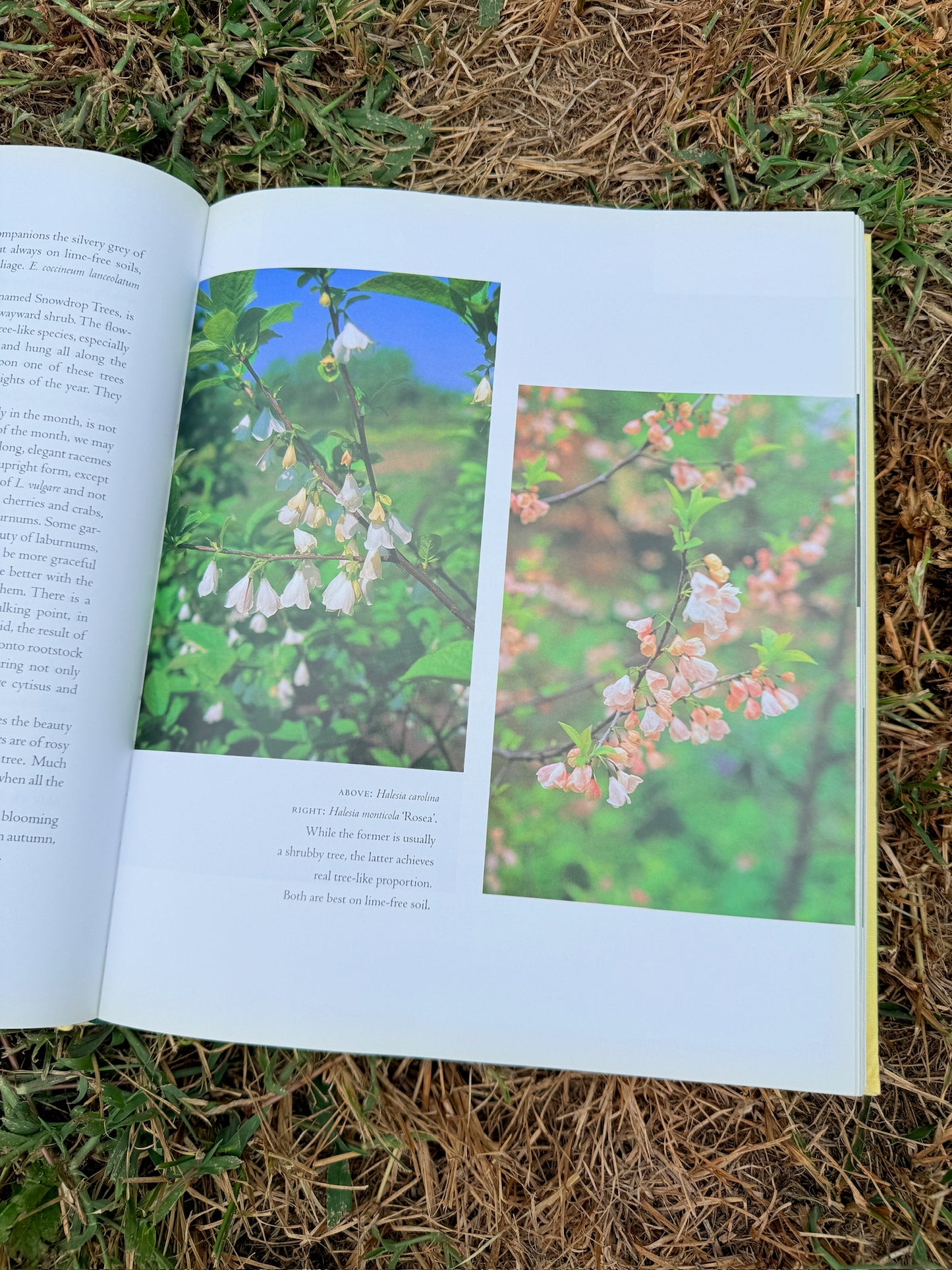 The Garden Through The Year Hardcover Book