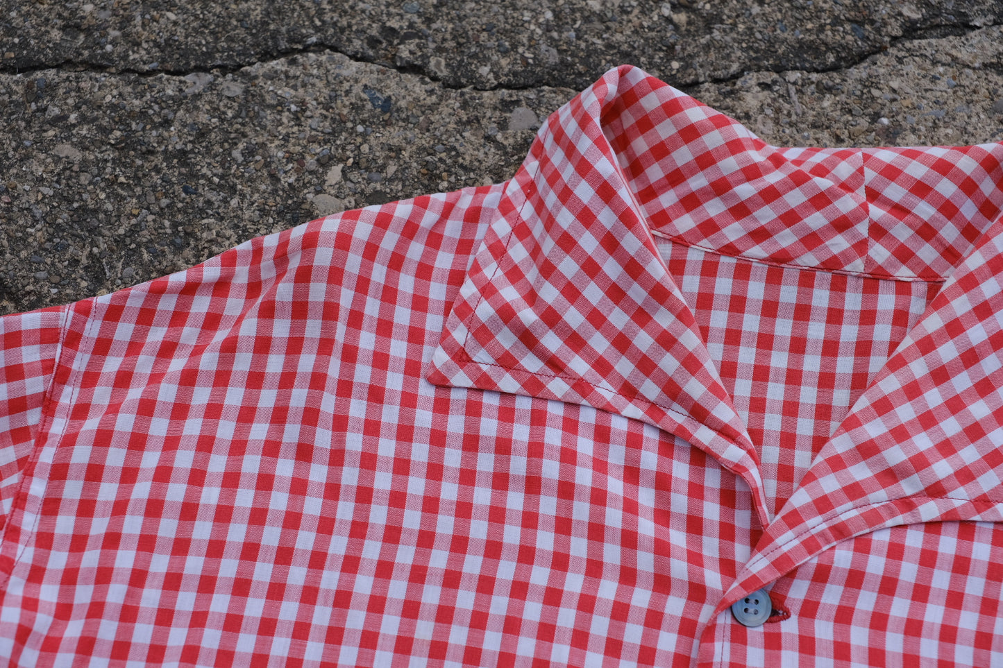 Vintage Red Gingham Long Sleeve Button-Up