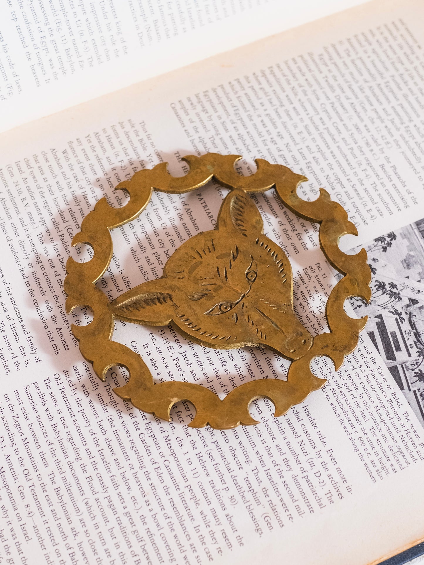 Vintage Solid Brass Fox Head Trivet