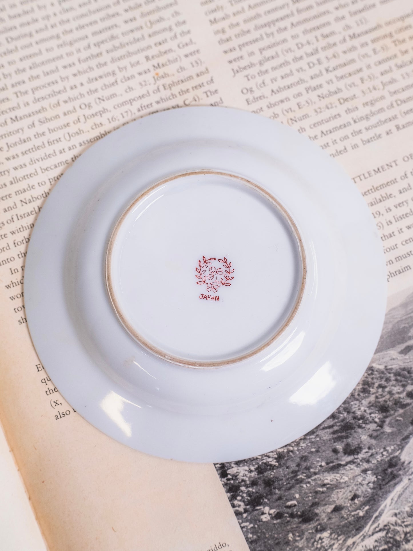 Vintage 1950s Ceramic German Shepherd Ashtray