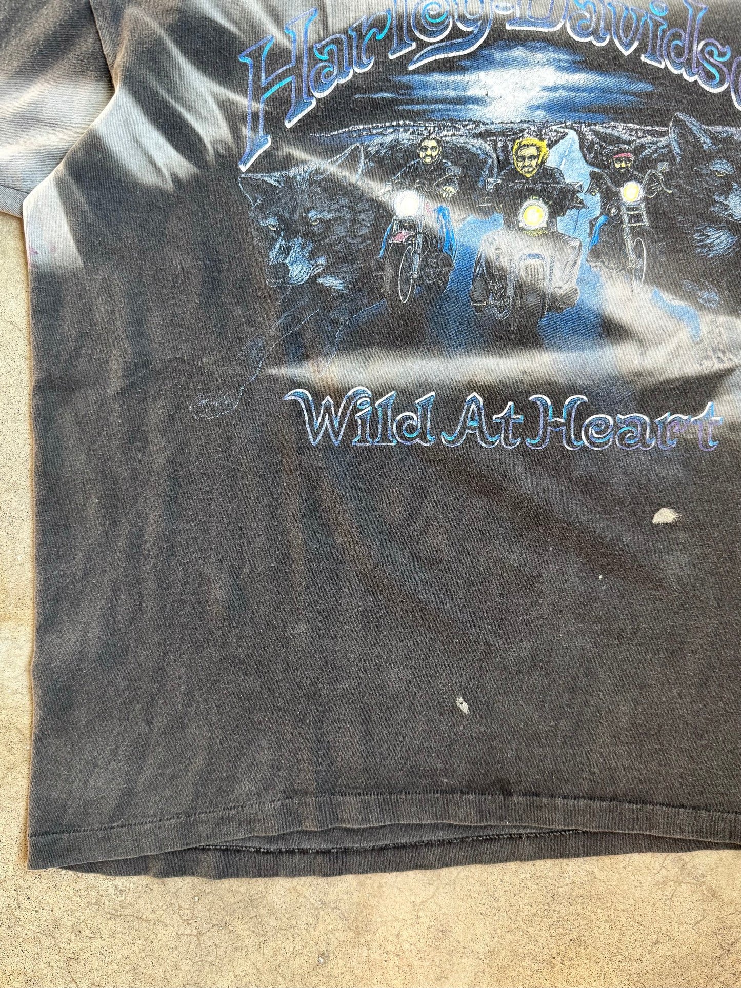 Vintage 1990s Harley Davidson “Wild at Heart” A.D. Farrow Columbus Distressed Graphic Tee | Large